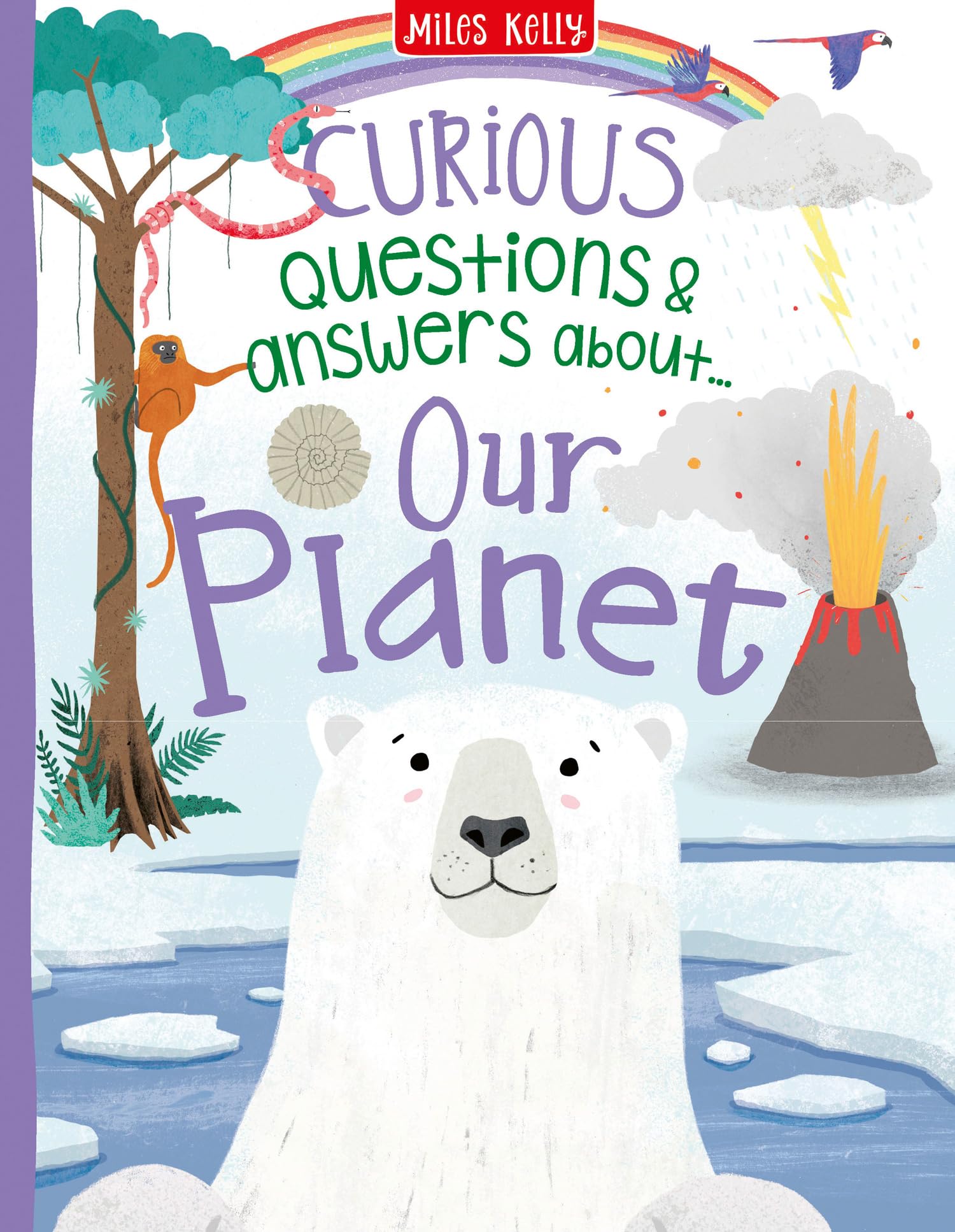 Curious Questions & Answers about Our Planet book