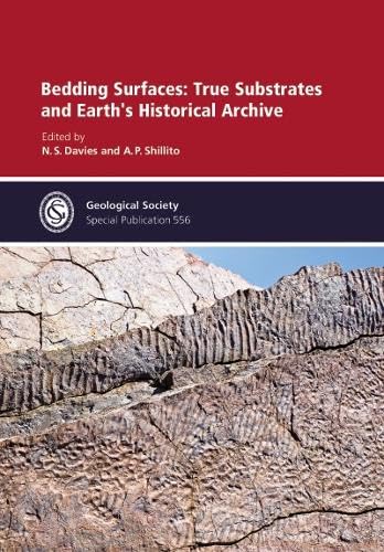 Bedding Surfaces: True Substrates and Earth's Historical Archive (Geological Society of London Special Publications, Band 556) Business & Technology