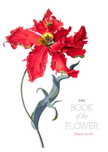 The Book of the Flower Flowers in Art Film, Art & Culture