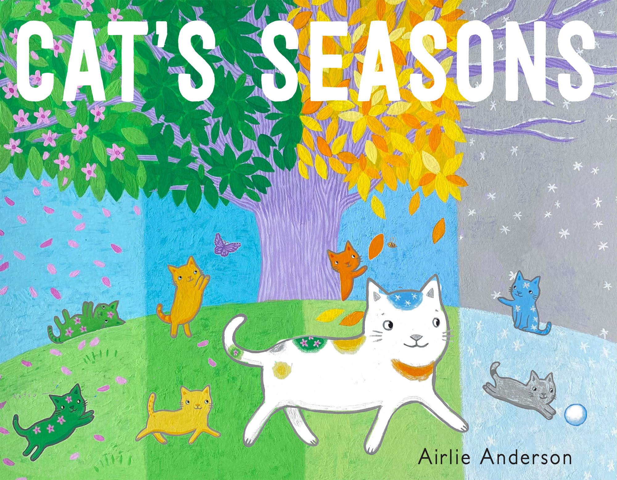 Cat's Seasons (Child's Play Library) Non-fiction