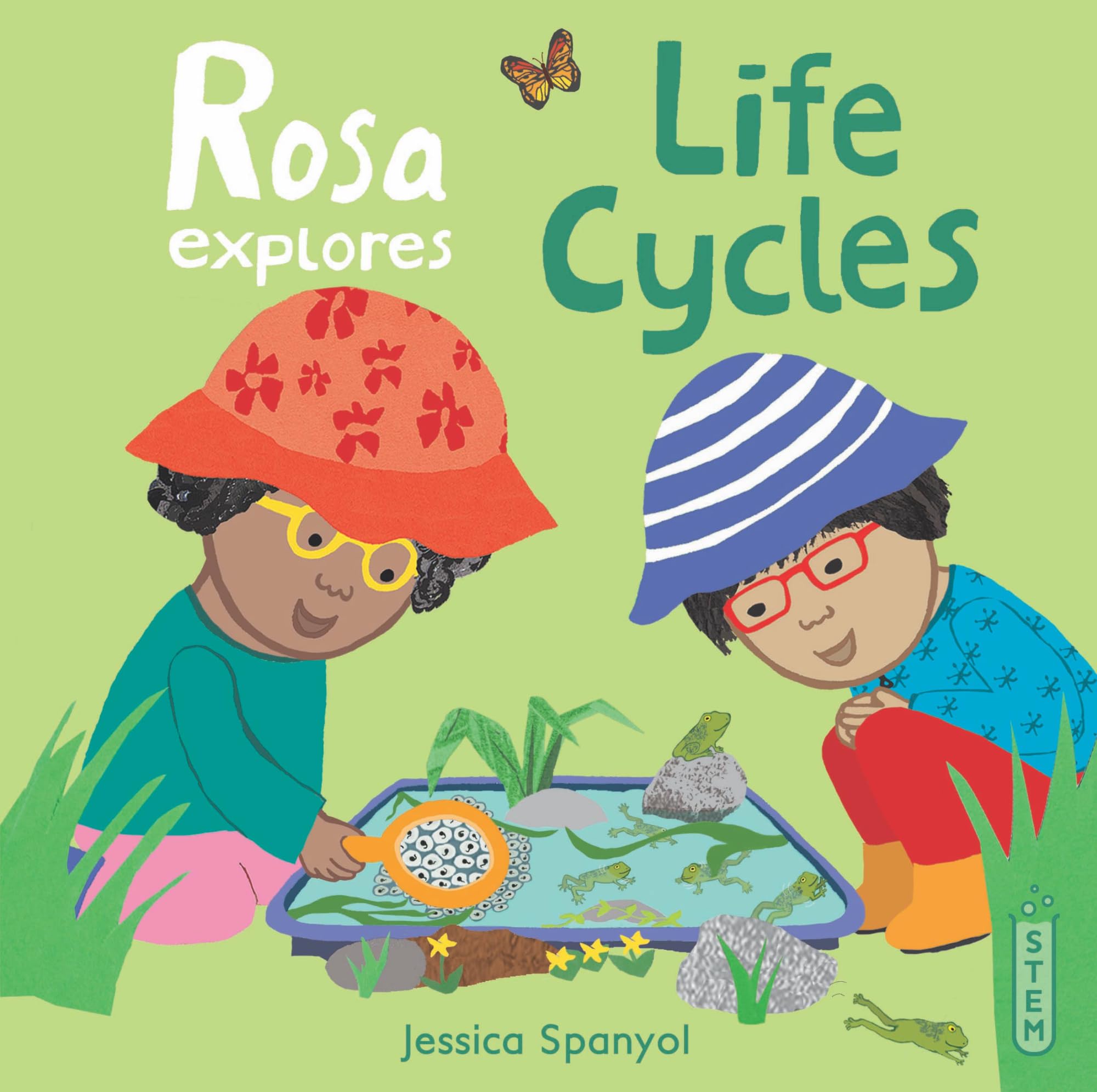 Rosa Explores Life Cycles (Rosa's Workshop 2, Band 4) Non-fiction
