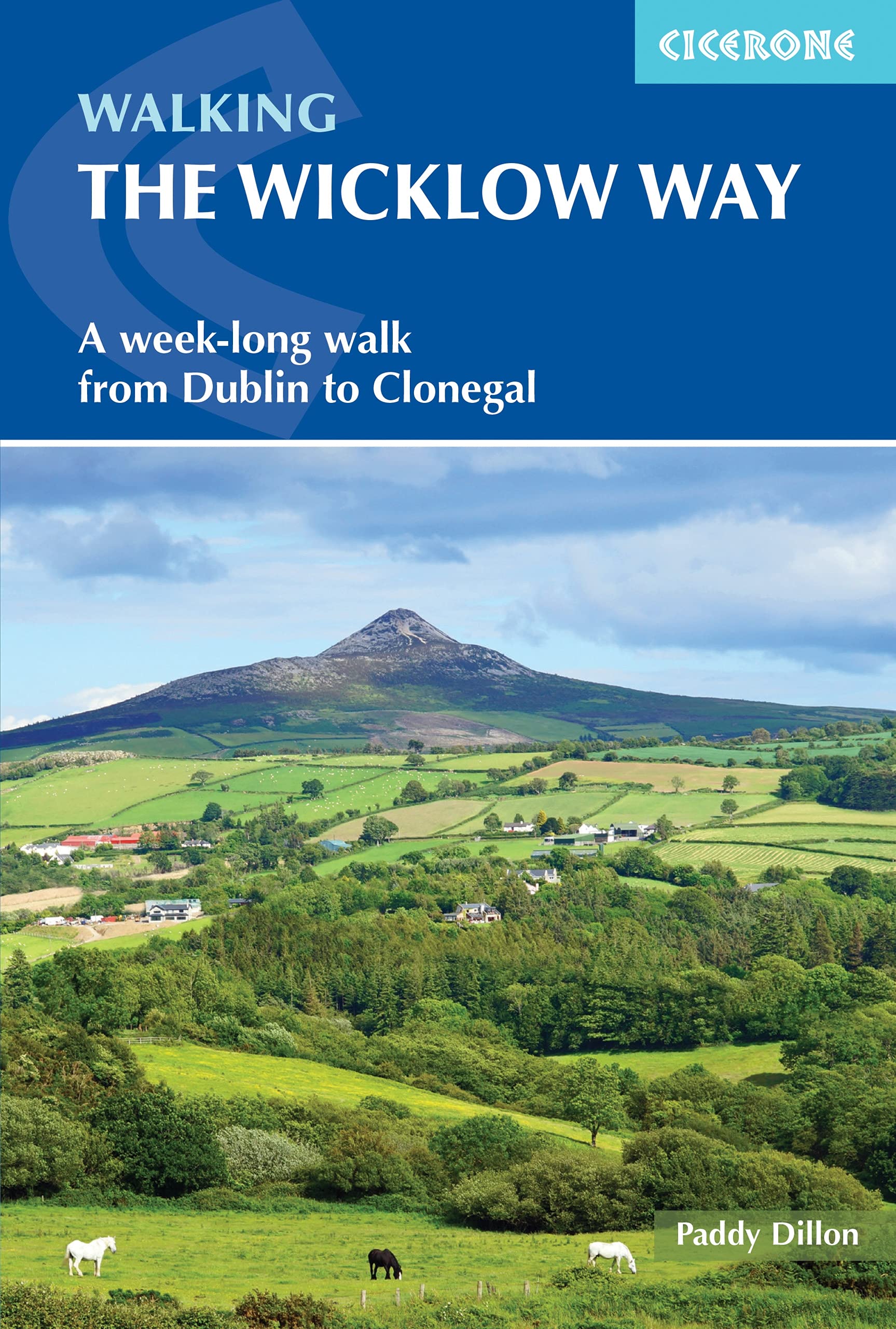 Walking the Wicklow Way: A week-long walk from Dublin to Clonegal (Cicerone guidebooks) Leisure, Home & Garden