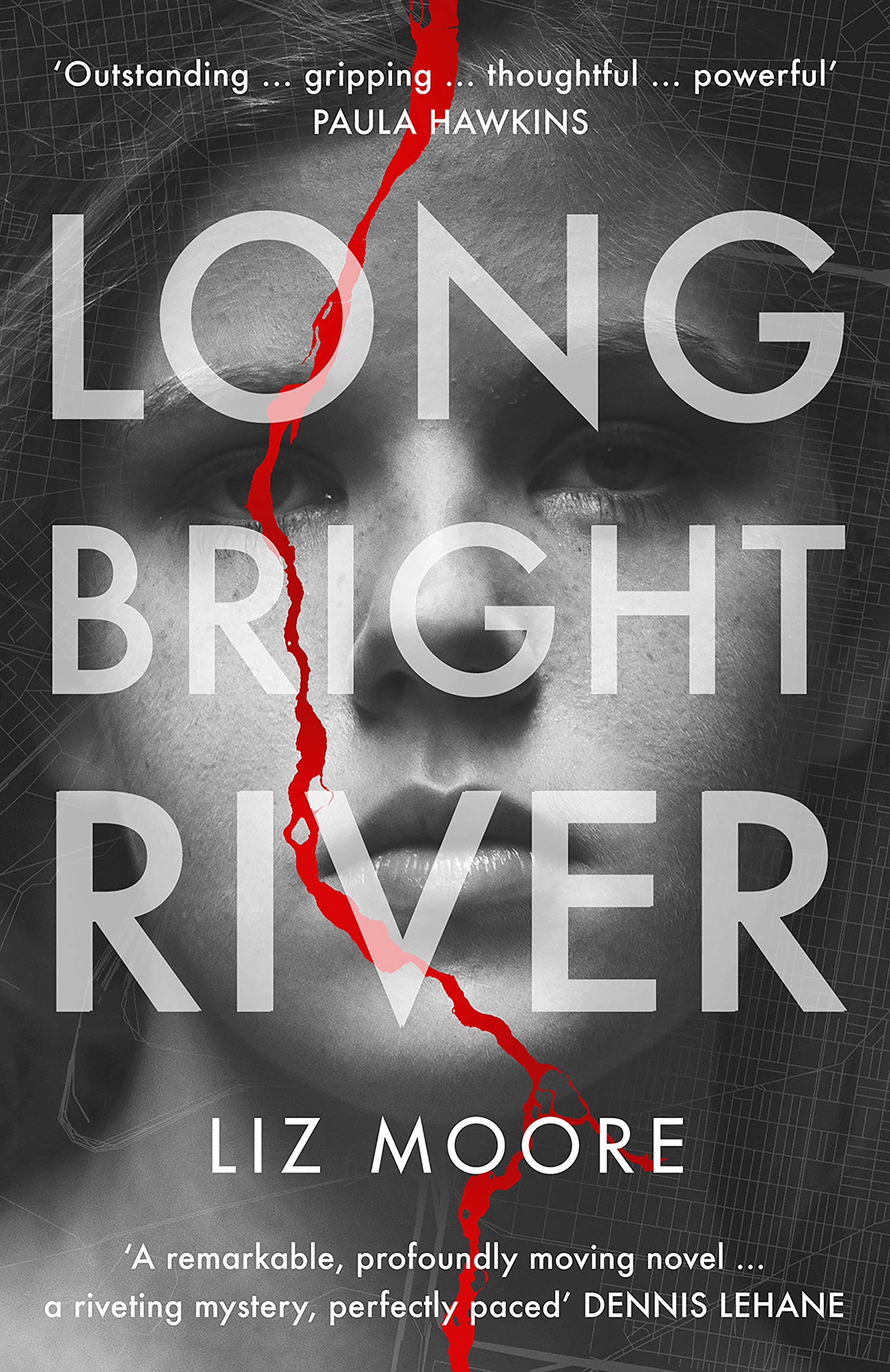 Long Bright River: an intense family thriller Contemporary literature