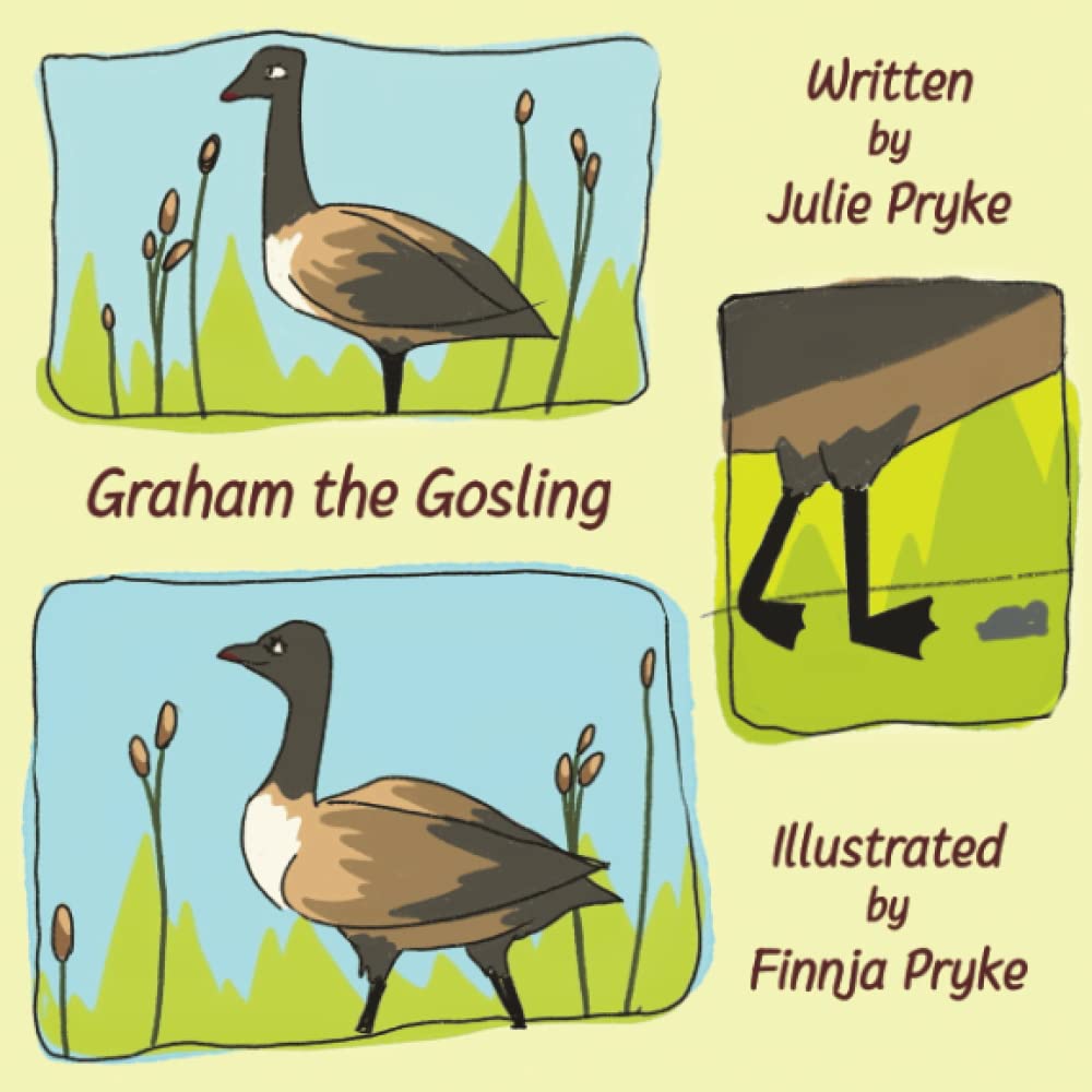 Graham the Gosling Non-fiction