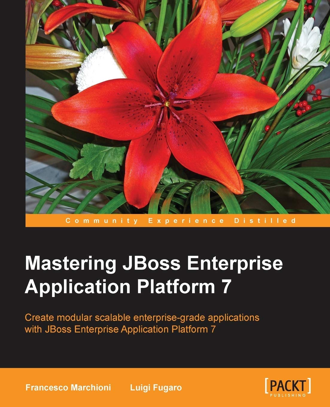 Product Image: Mastering JBoss Enterprise Application Platform 7