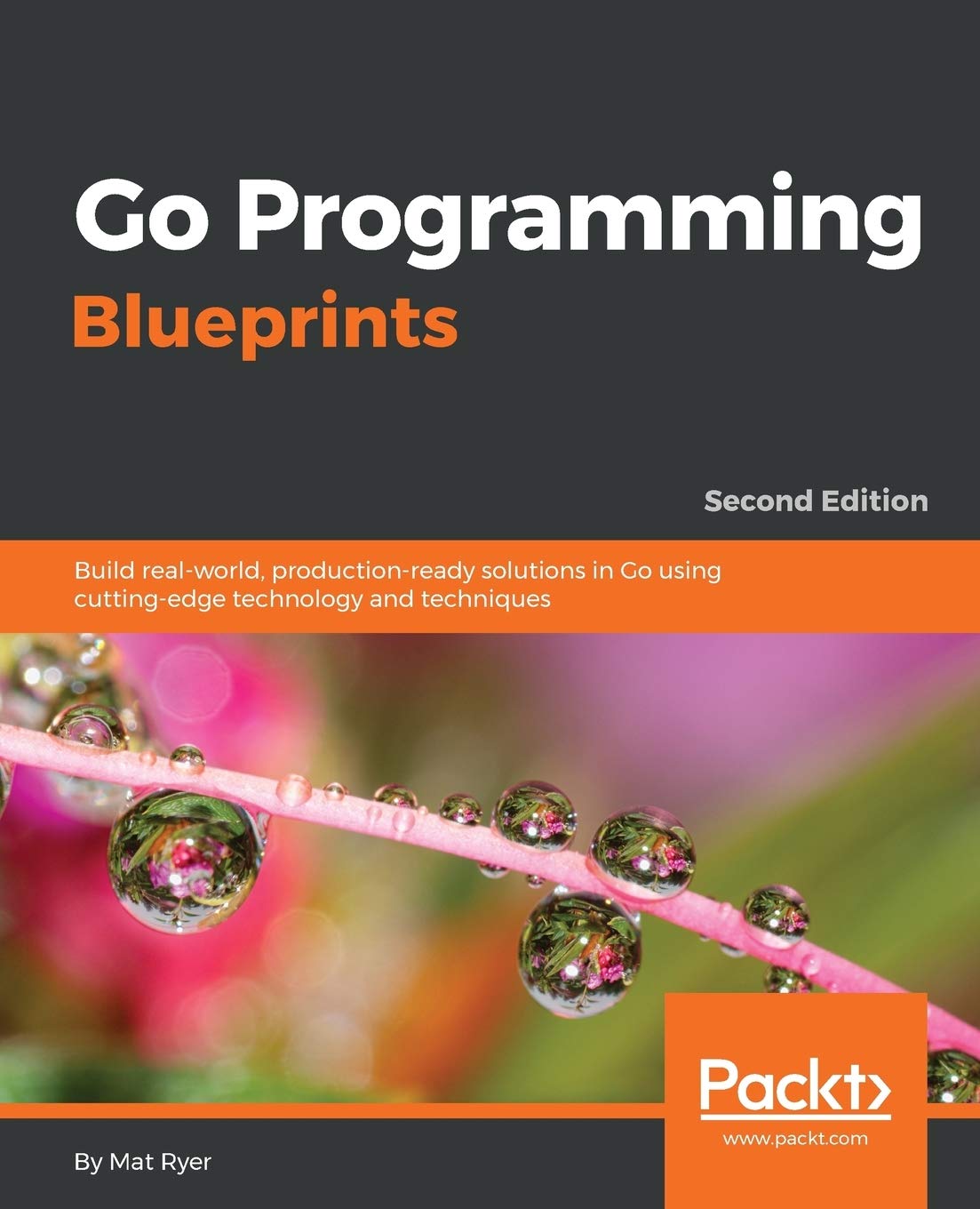 Product Image: Go Programming Blueprints: Build real-world, production-ready solutions in Go using cutting-edge technology and techniques, 2nd Edition