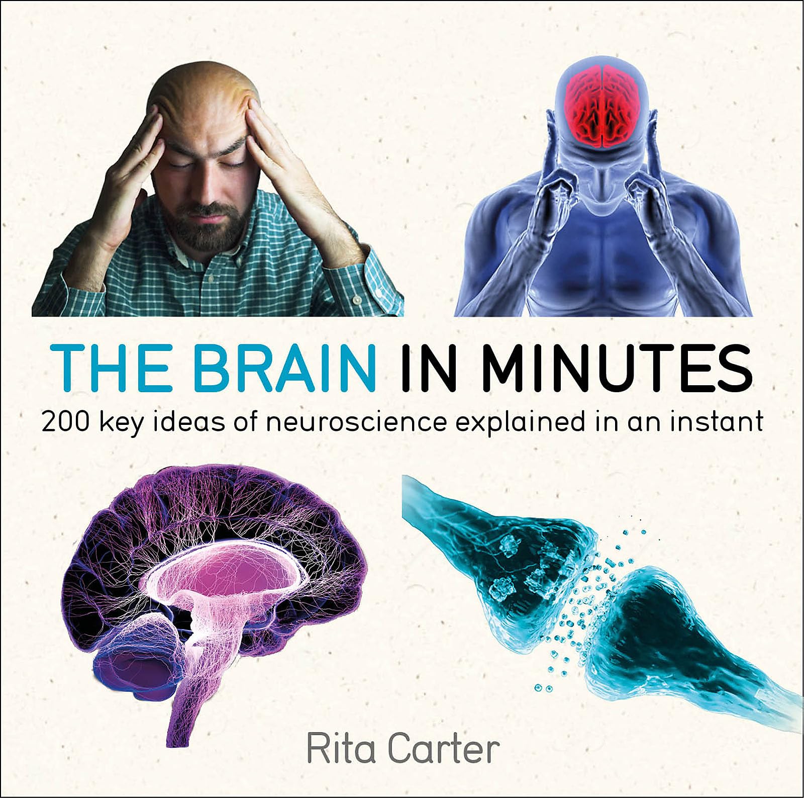 The Brain in Minutes: 200 Key Ideas of Neuroscience Explained in an Instant Medicine