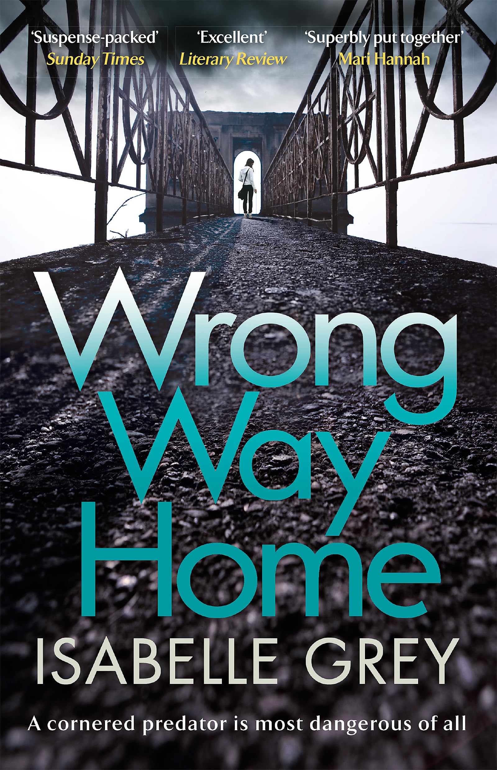 Wrong Way Home: the compelling, suspense-packed crime thriller you won't be able to put down book