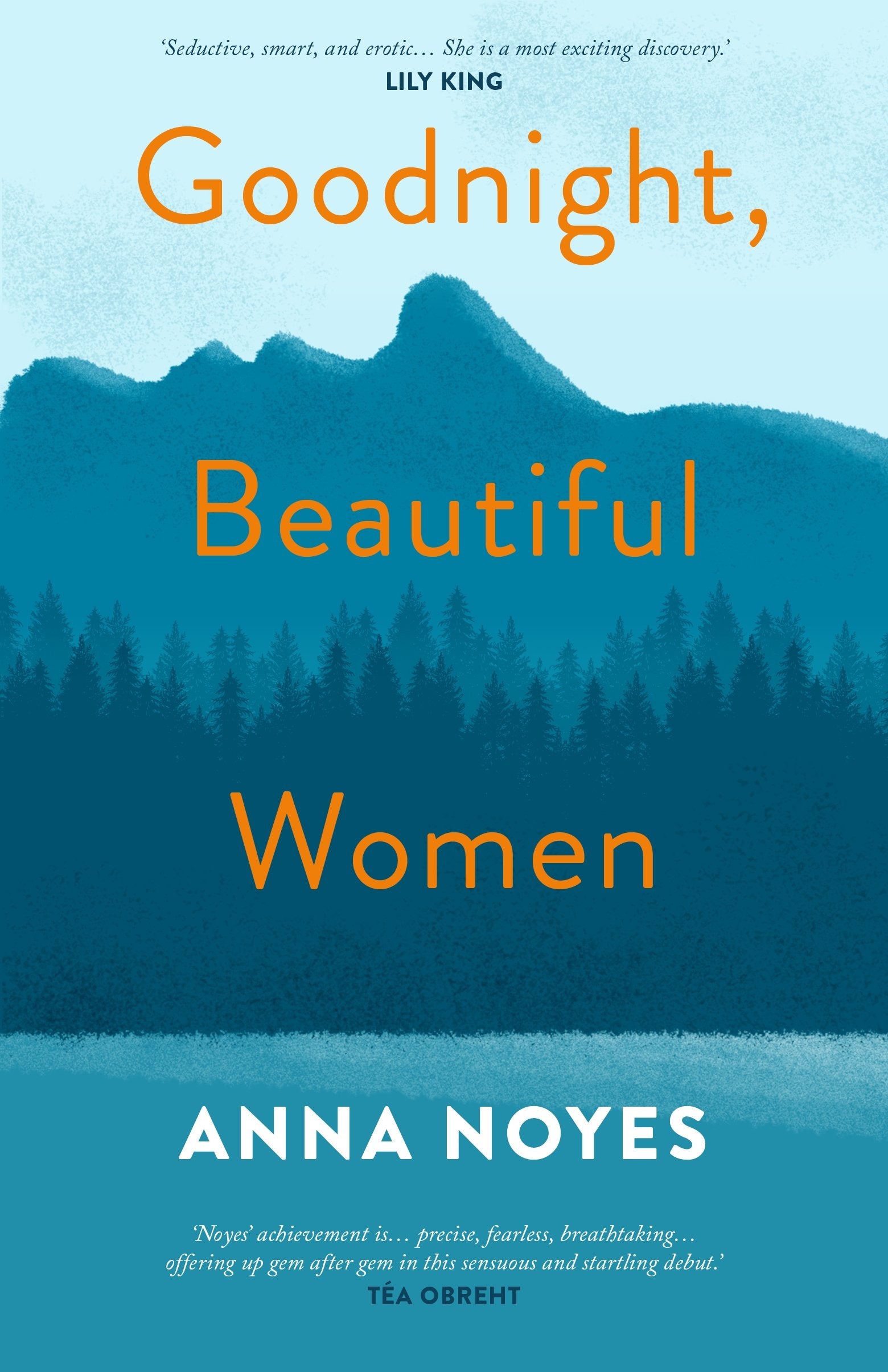 Goodnight, Beautiful Women: A powerful collection of short stories about the women of a small town in Maine Social Sciences