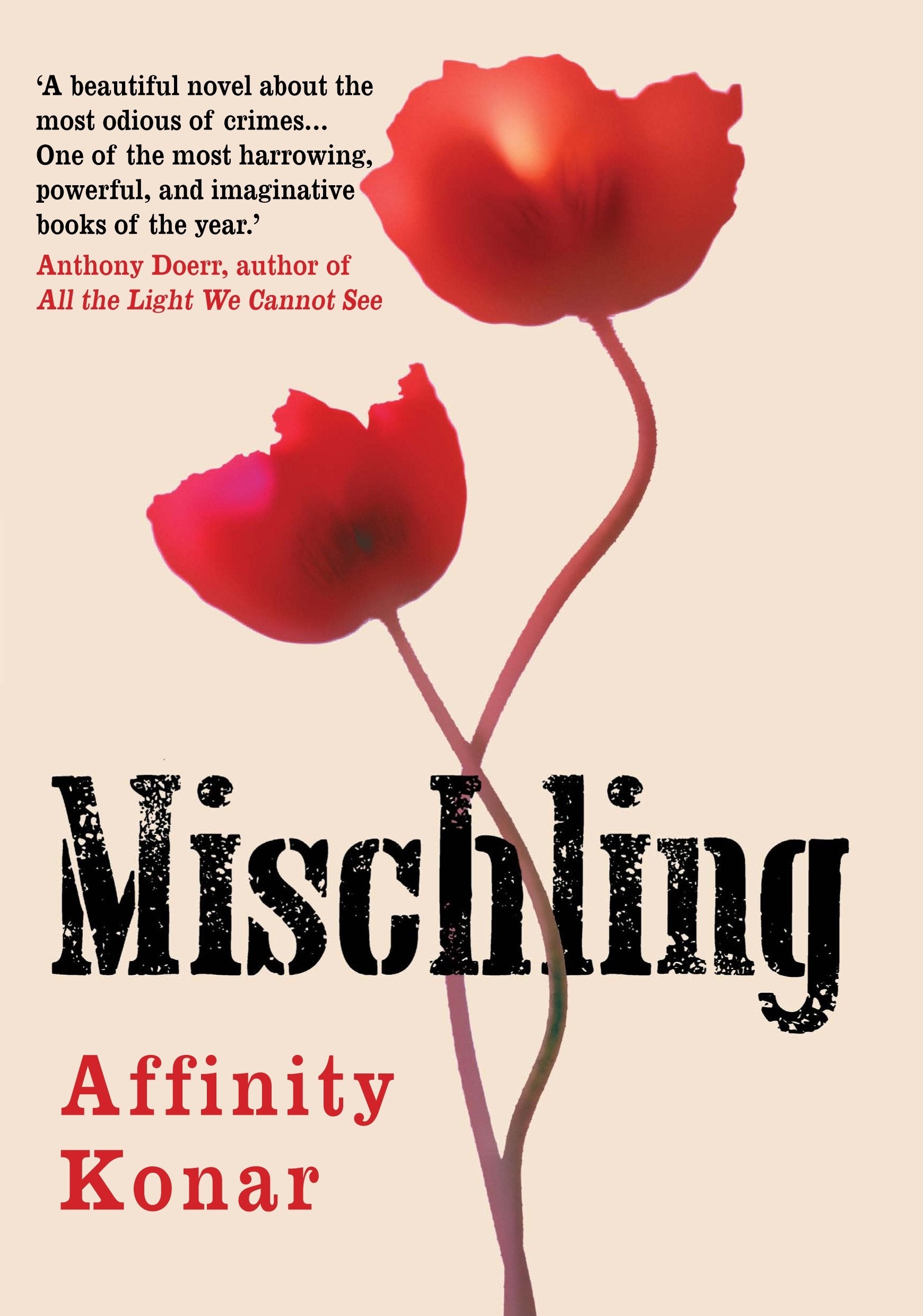 Mischling Historical Fiction