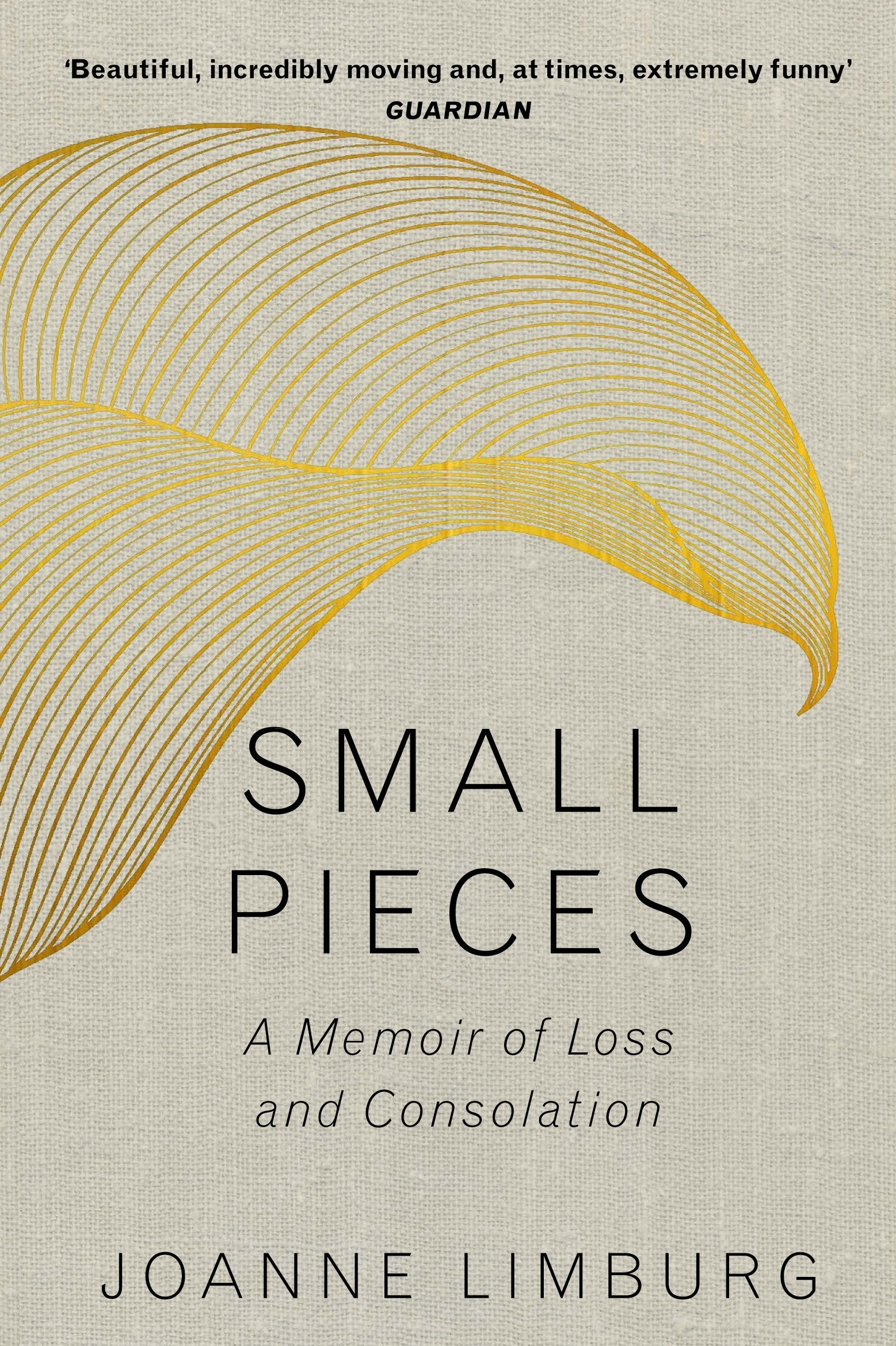 Small Pieces: A Memoir of Loss and Consolation Social Sciences