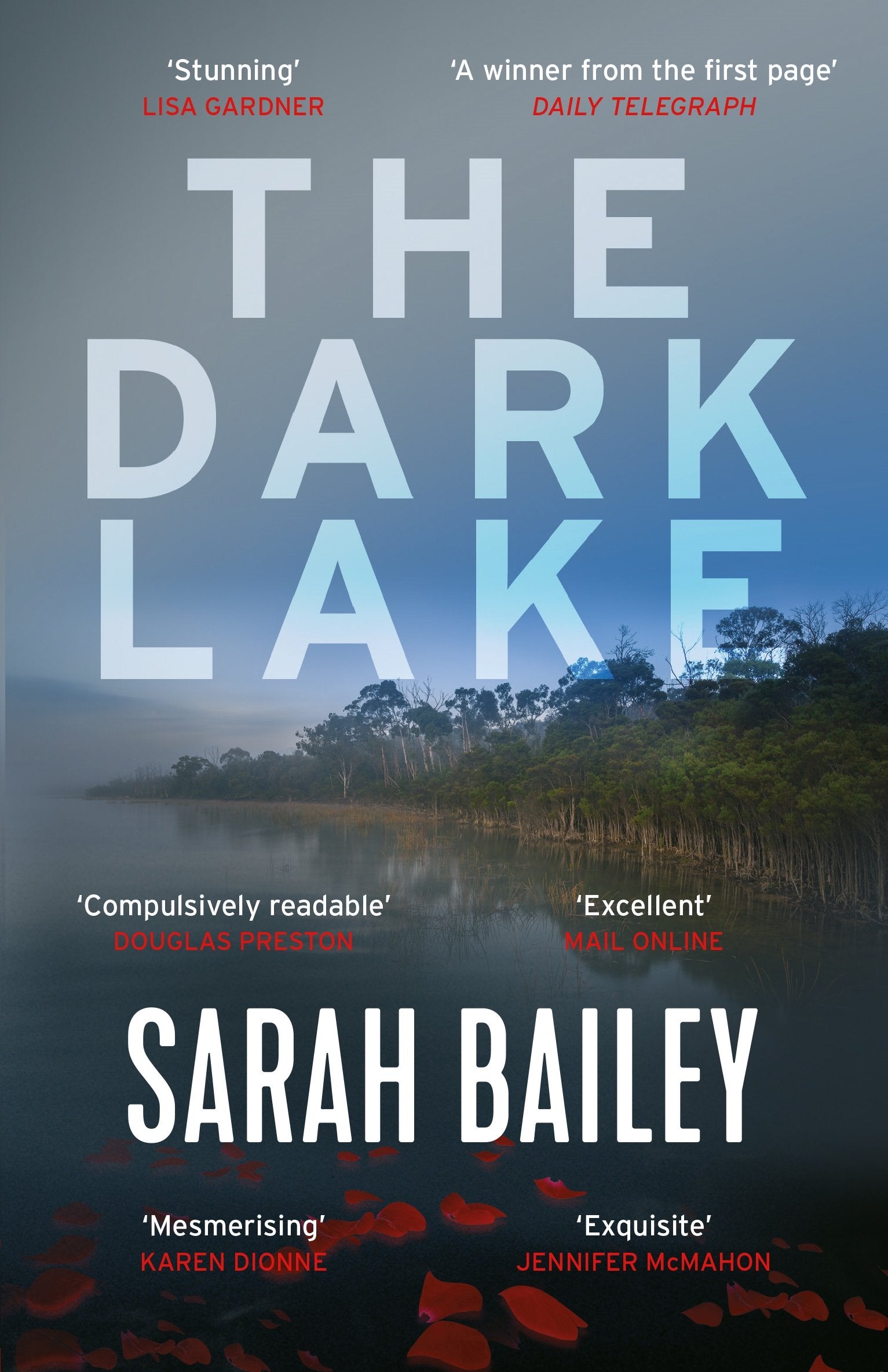 The Dark Lake Contemporary literature Books