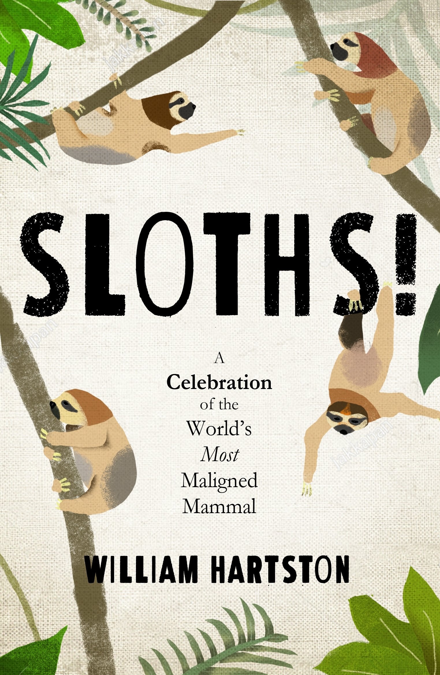 Sloths: A Celebration of the Worlds Most Maligned Mammal book