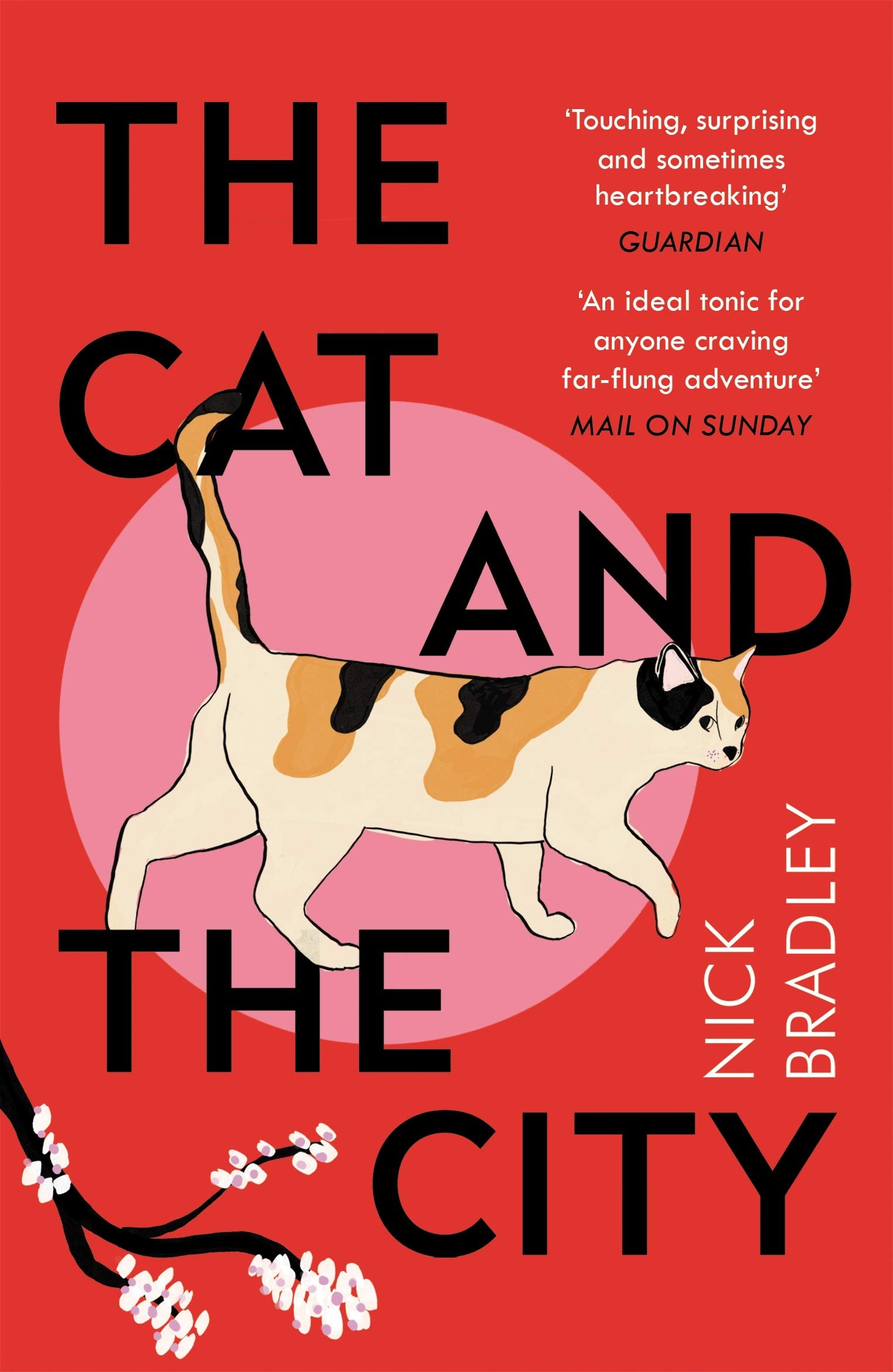The Cat and The City Social Sciences