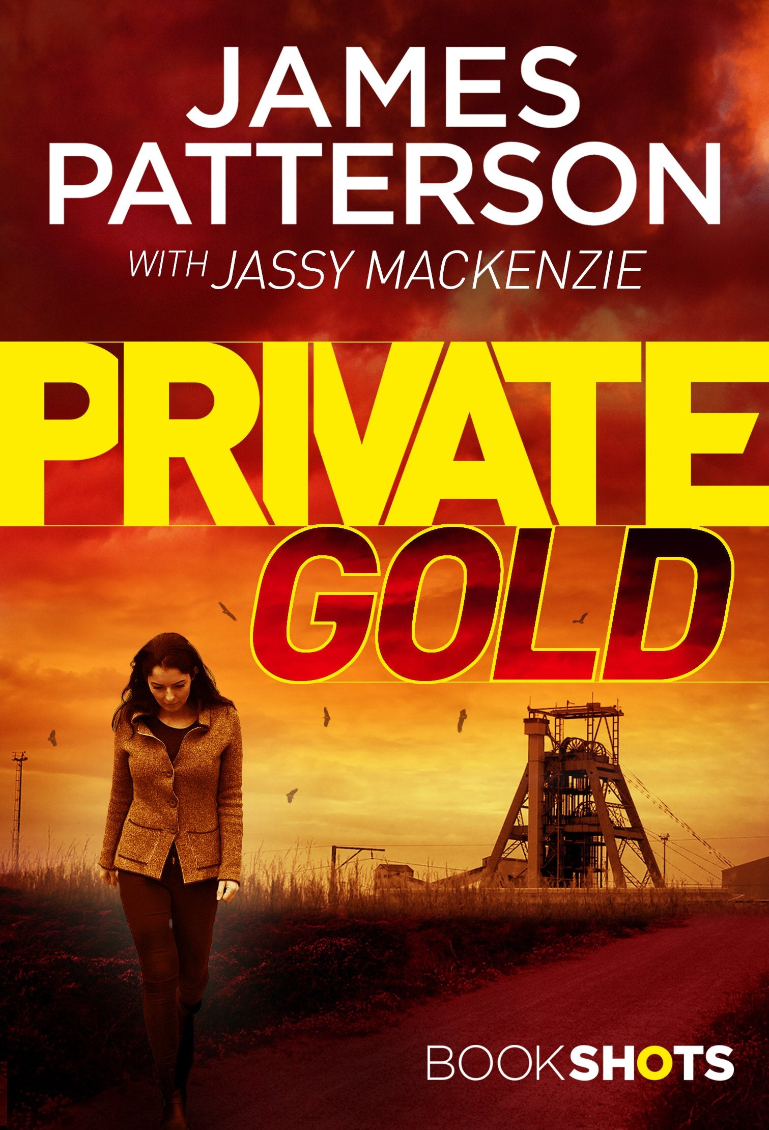 Private Gold: BookShots (A Private Thriller) Essays & Short Stories