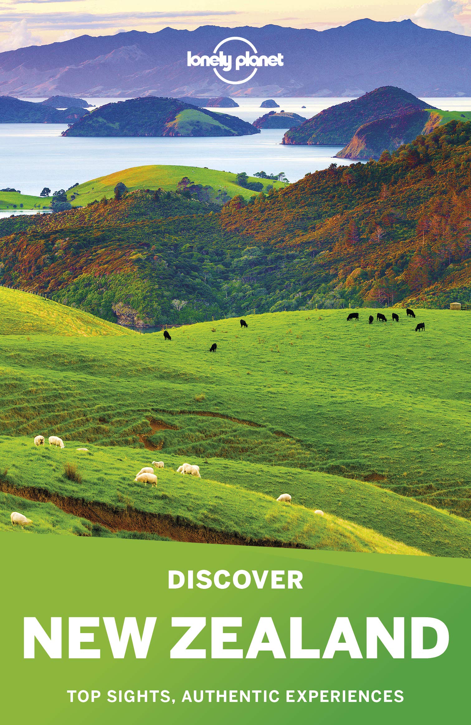 Lonely Planet Discover New Zealand Travel Guides