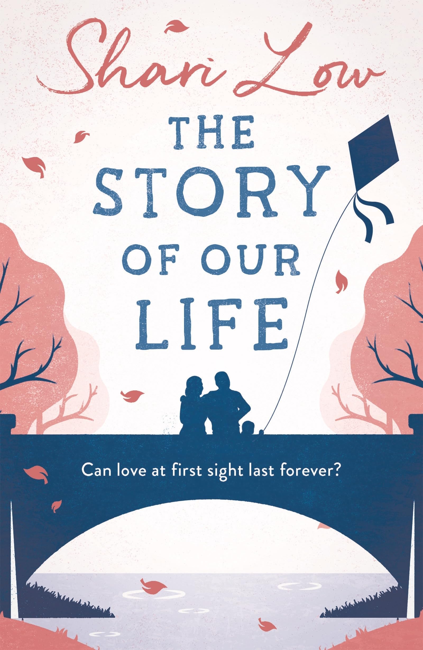 The Story of Our Life: A Bittersweet Love Story Contemporary literature