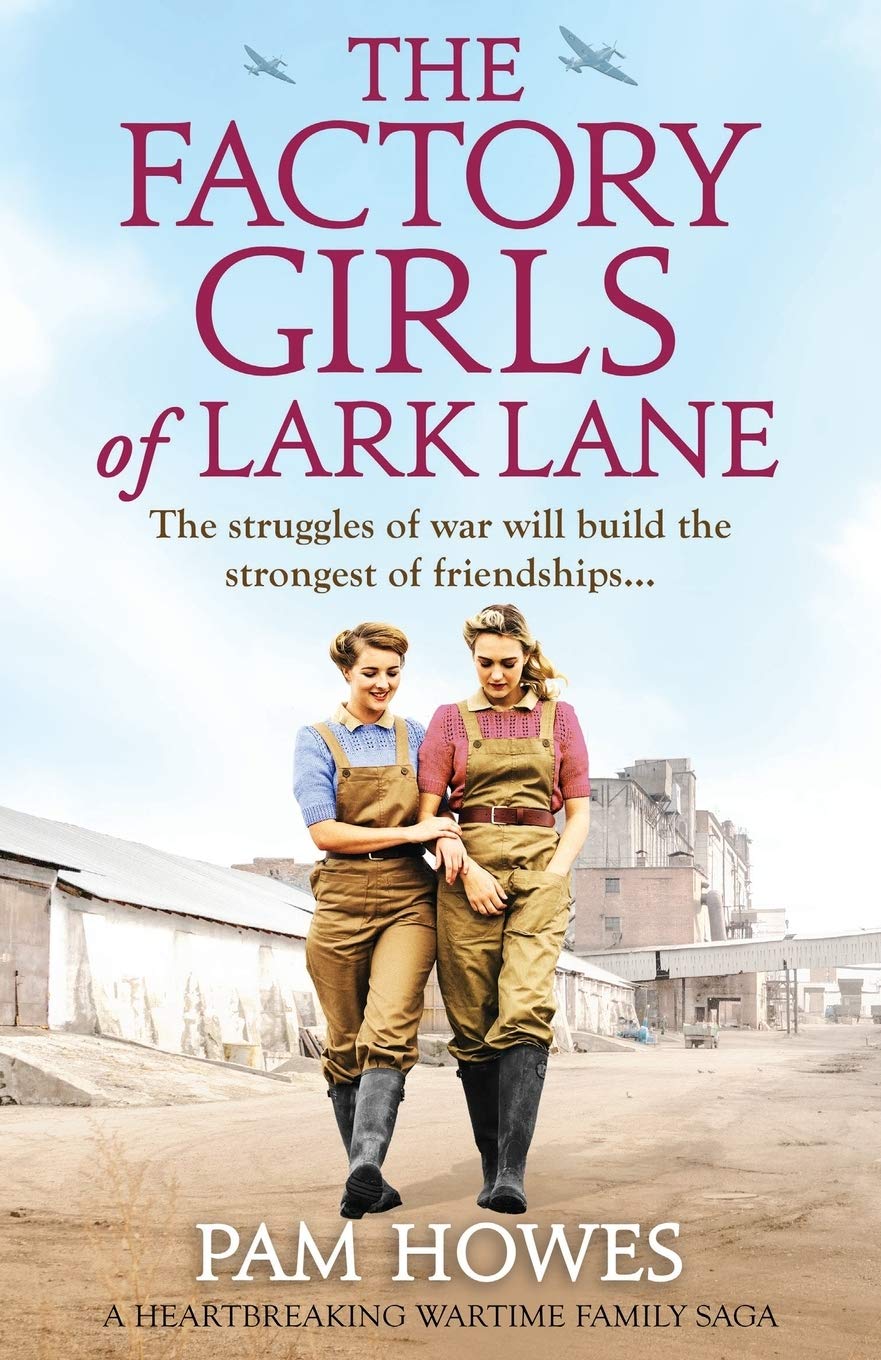The Factory Girls of Lark Lane book
