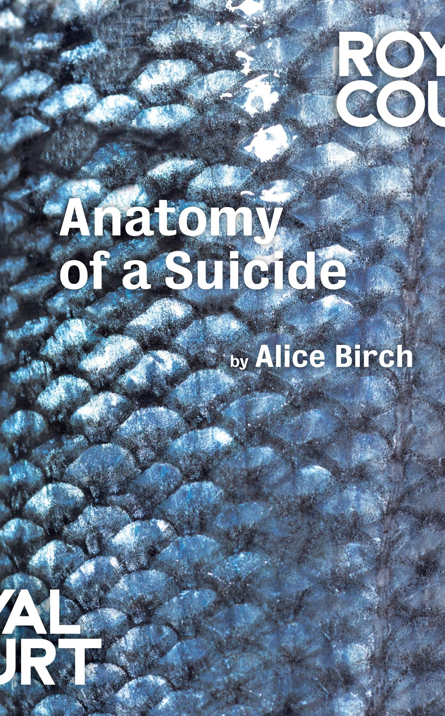 Anatomy of a Suicide (Oberon Modern Plays) Books