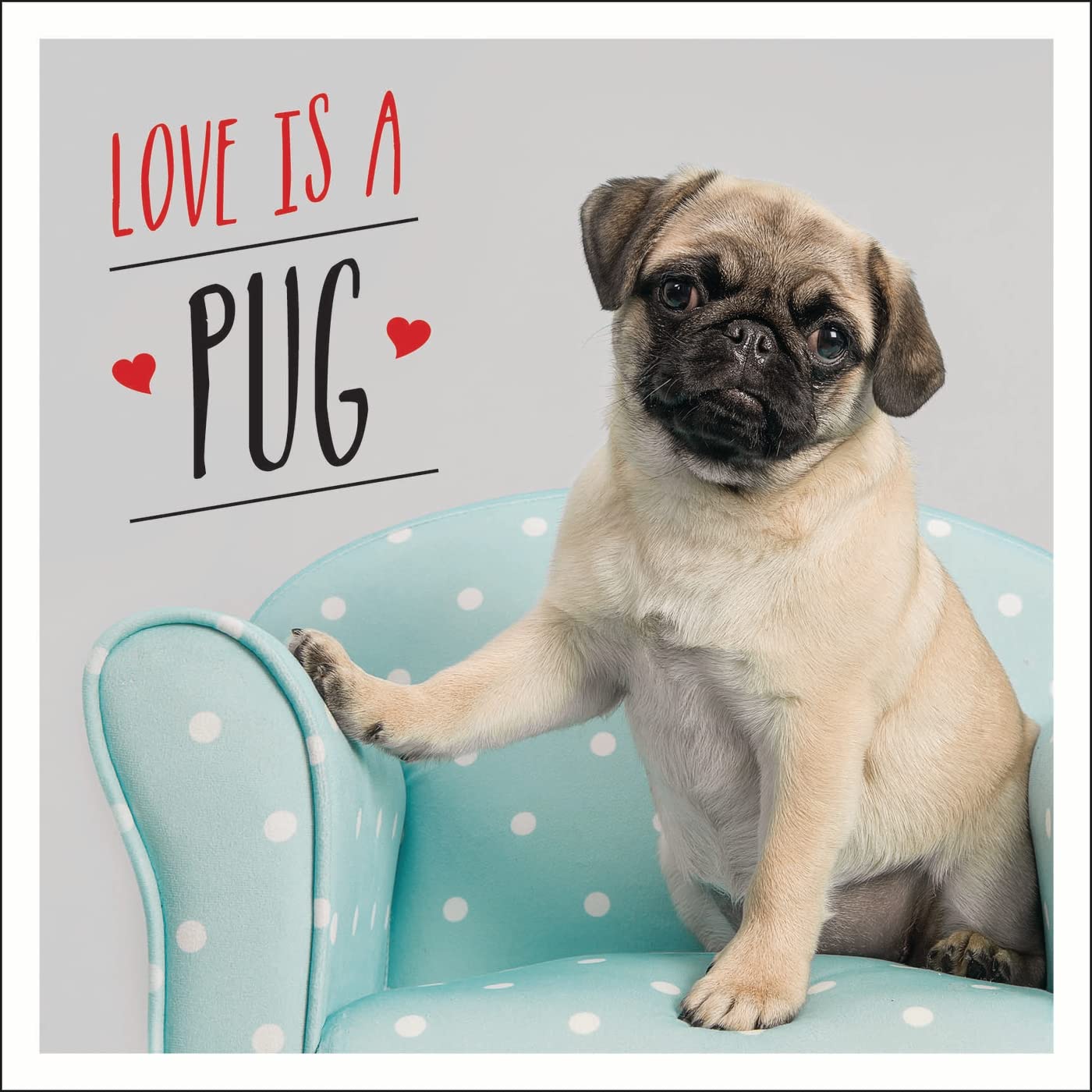 Love is a Pug: A Pugtastic Celebration of The World's Cutest Dogs Living & Furnishing