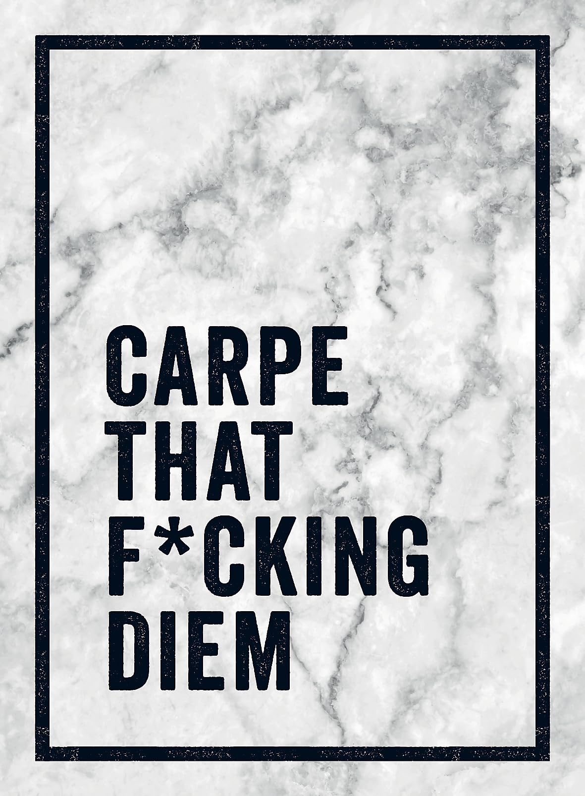Summersdale: CARPE THAT F-CKING DIEM Business, Finance & Career