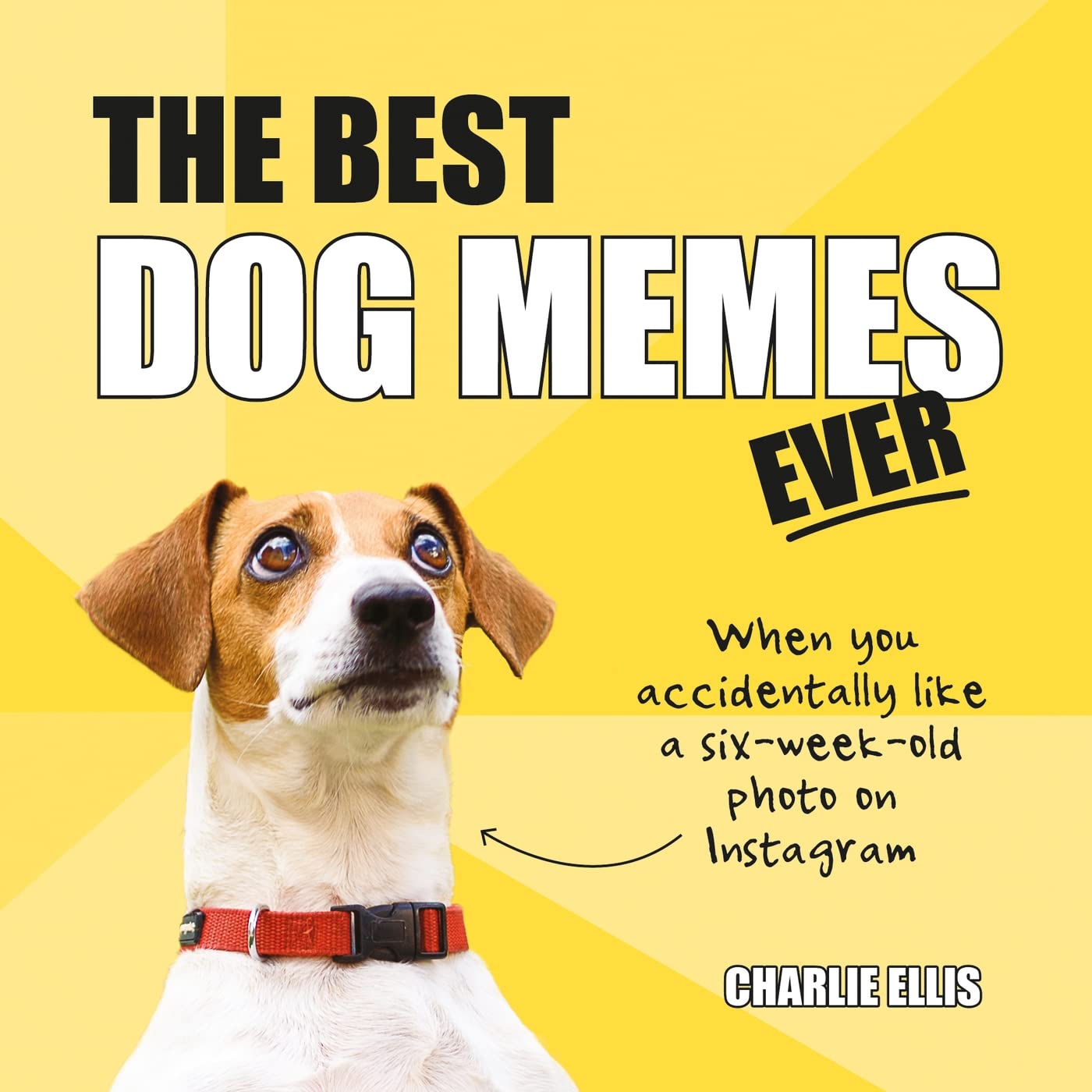The Best Dog Memes Ever Humour & Satire