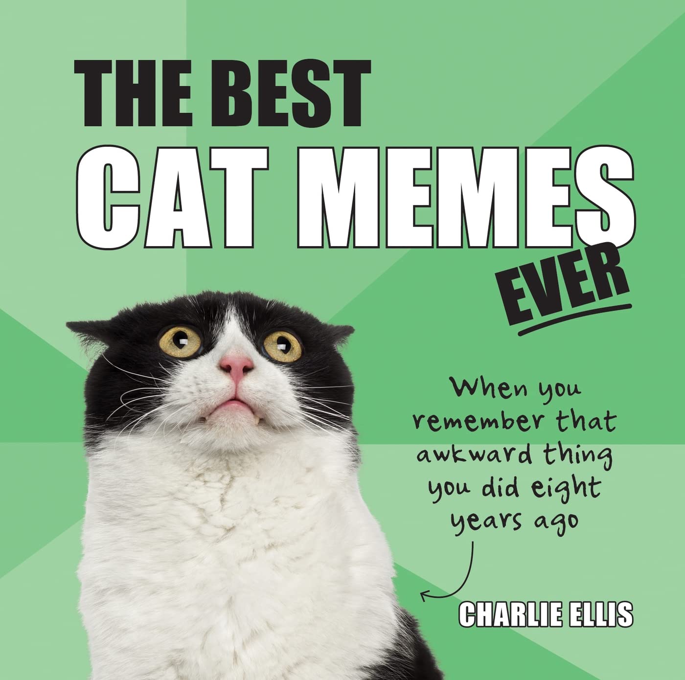 The Best Cat Memes Ever: The Funniest Relatable Memes as Told by Cats Film, Art & Culture