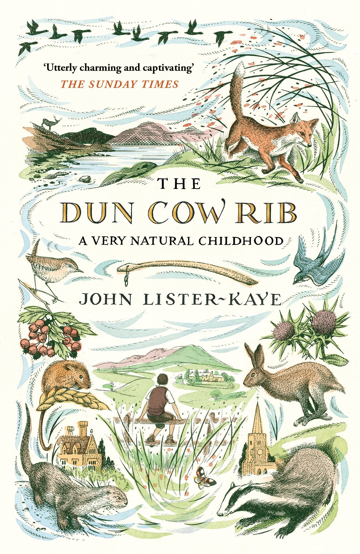 The Dun Cow Rib: A Very Natural Childhood book