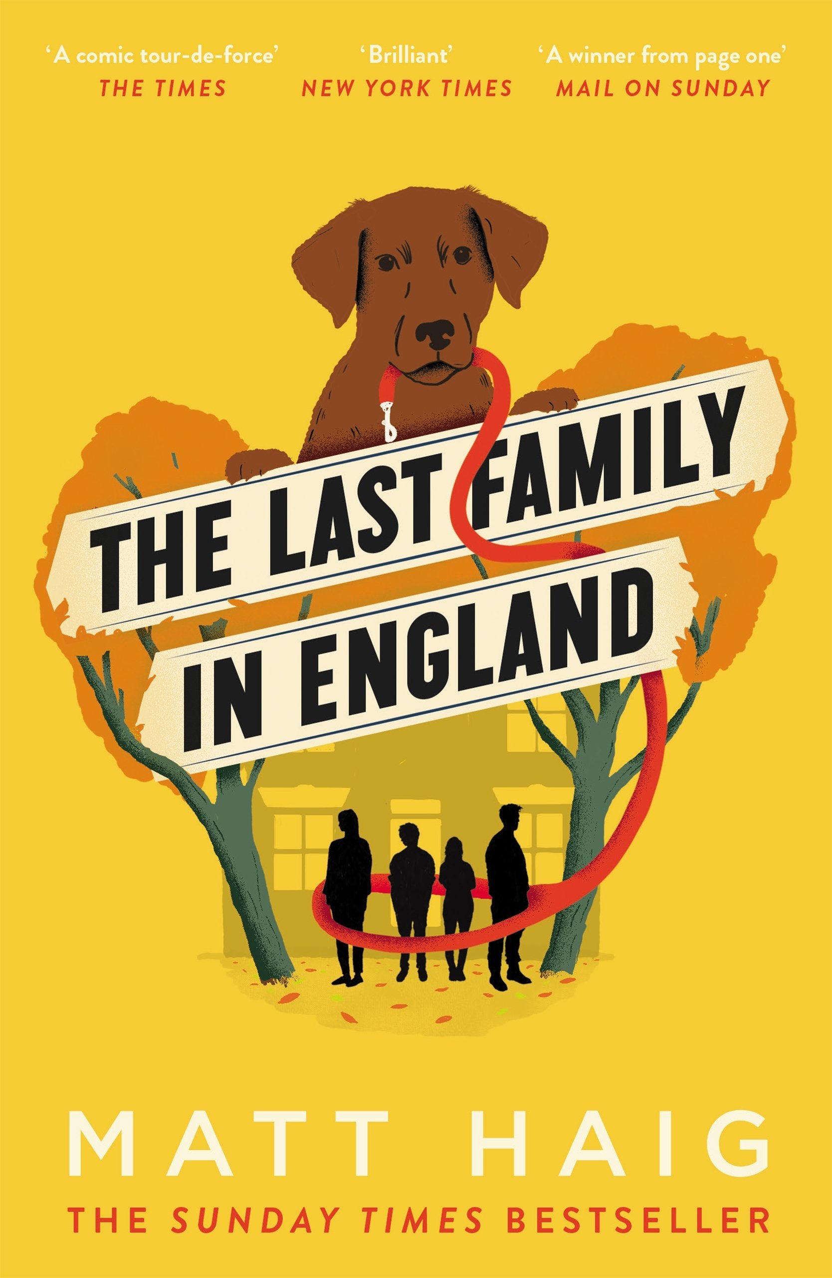 The Last Family in England Contemporary literature