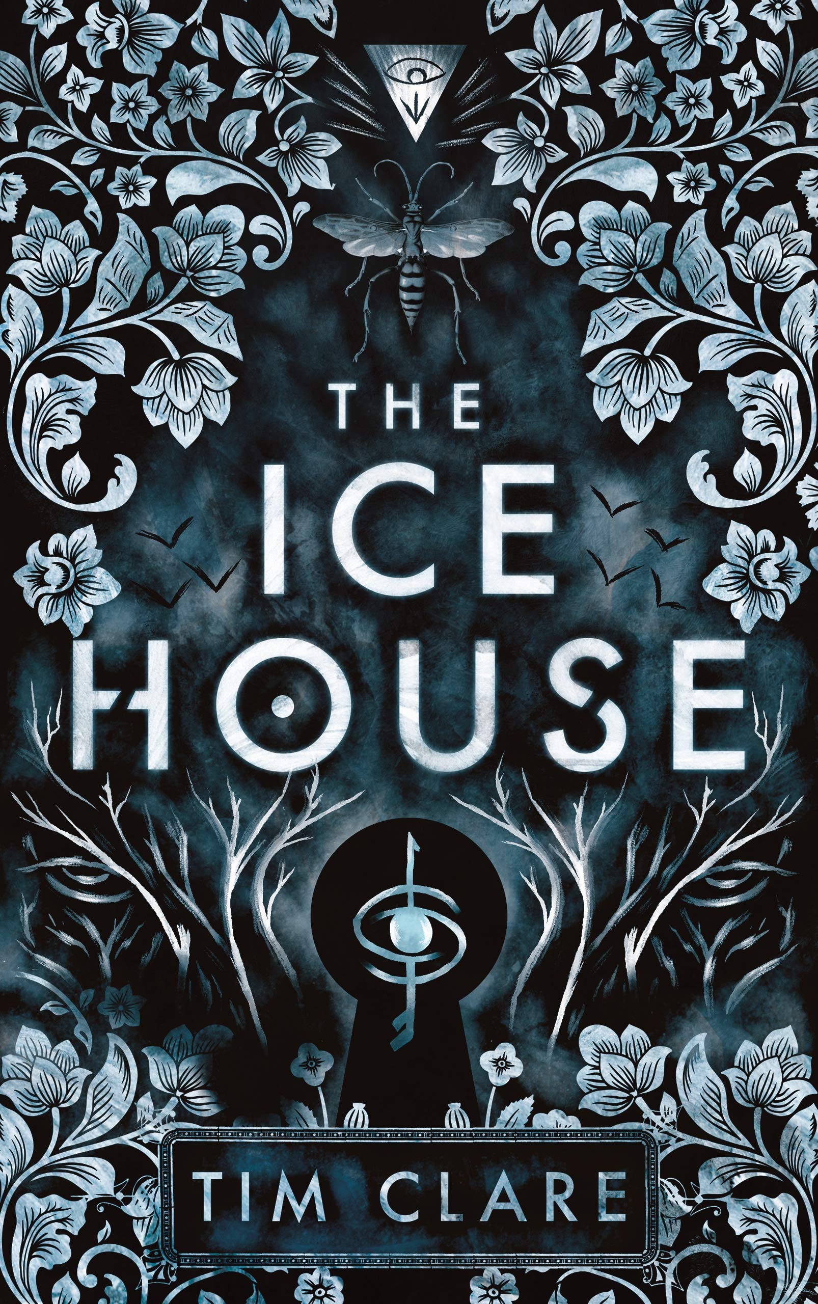 The Ice House Contemporary literature Books