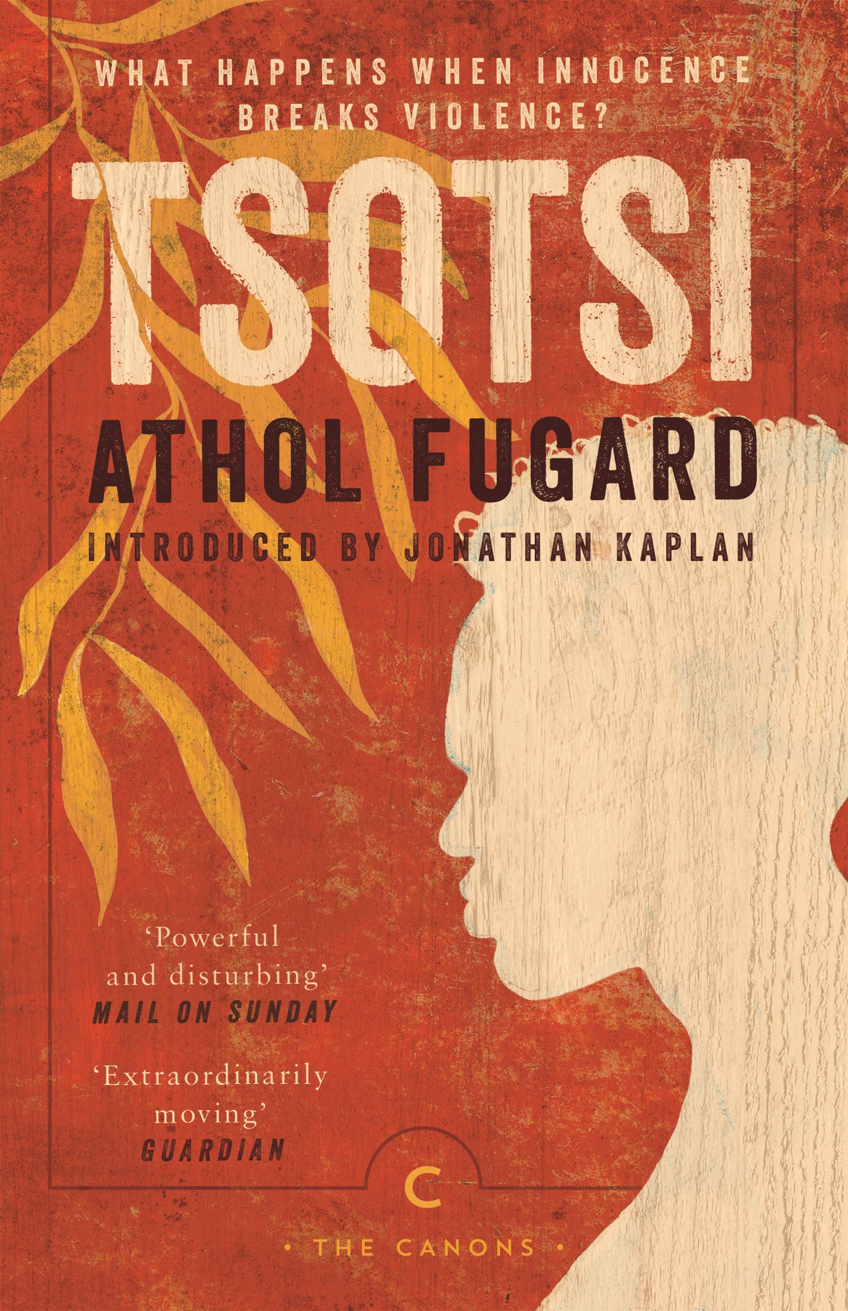Tsotsi Contemporary literature