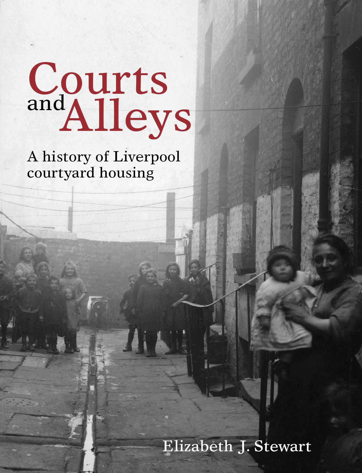 Courts and Alleys: A history of Liverpool courtyard housing (National Museums Liverpool) Books