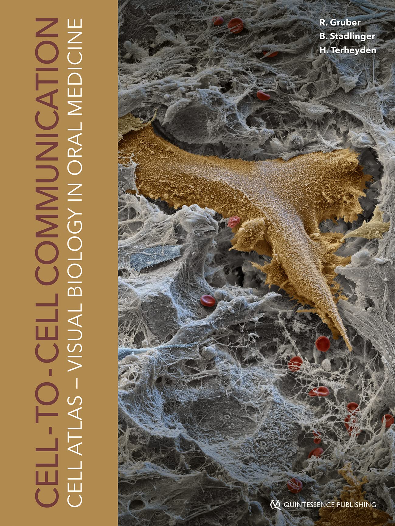 Cell-to-Cell Communication: Cell-Atlas – Visual Biology in Oral Medicine Medicine