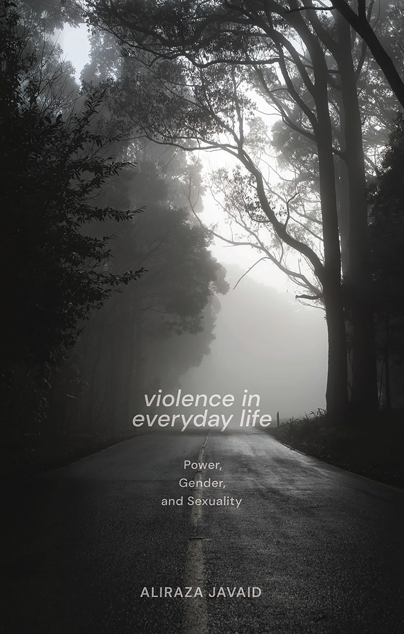 Violence in Everyday Life Law