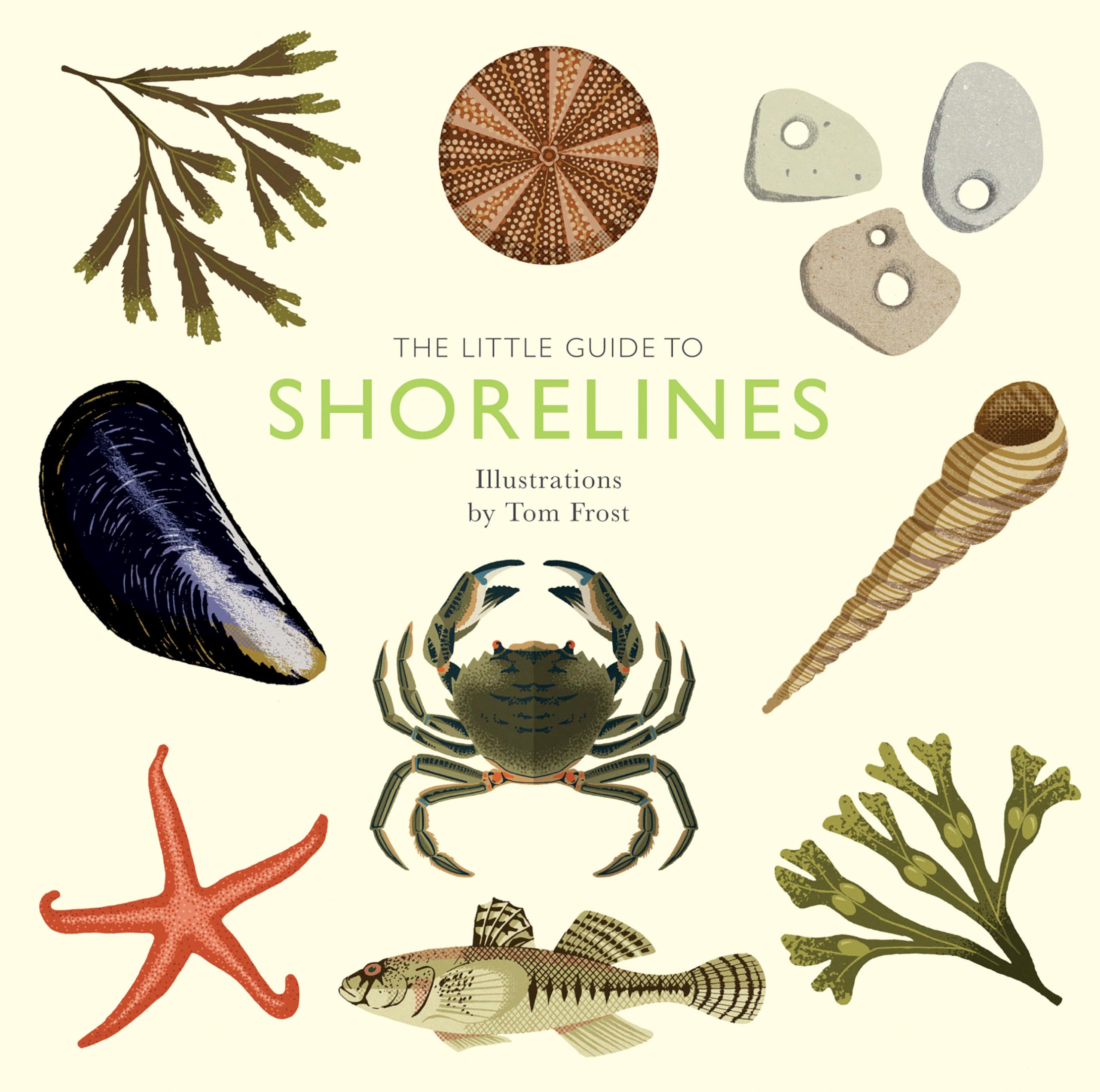 The Little Guide to Shorelines (Little Guides) Mathematics