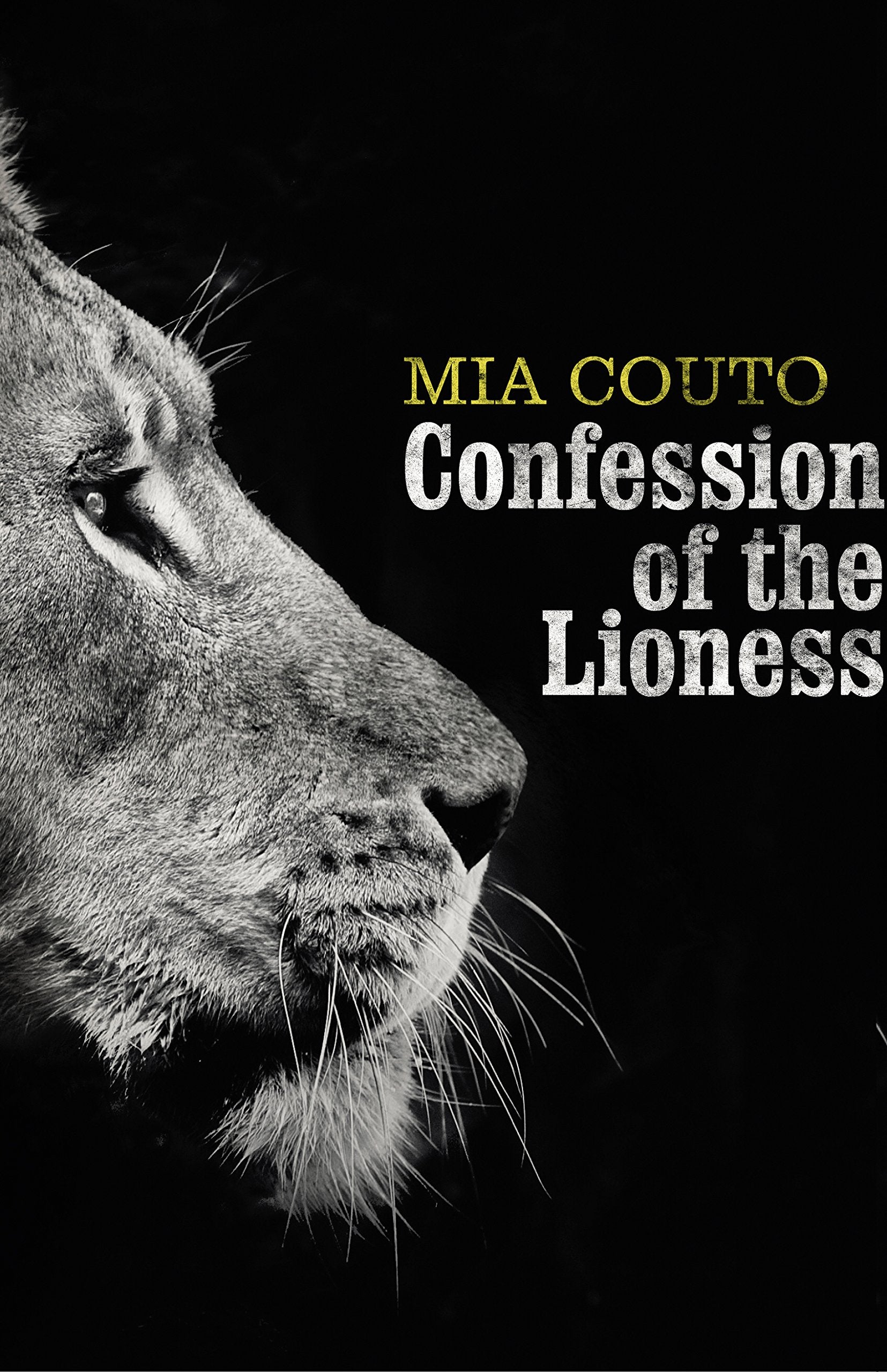 Confession of the Lioness Contemporary literature