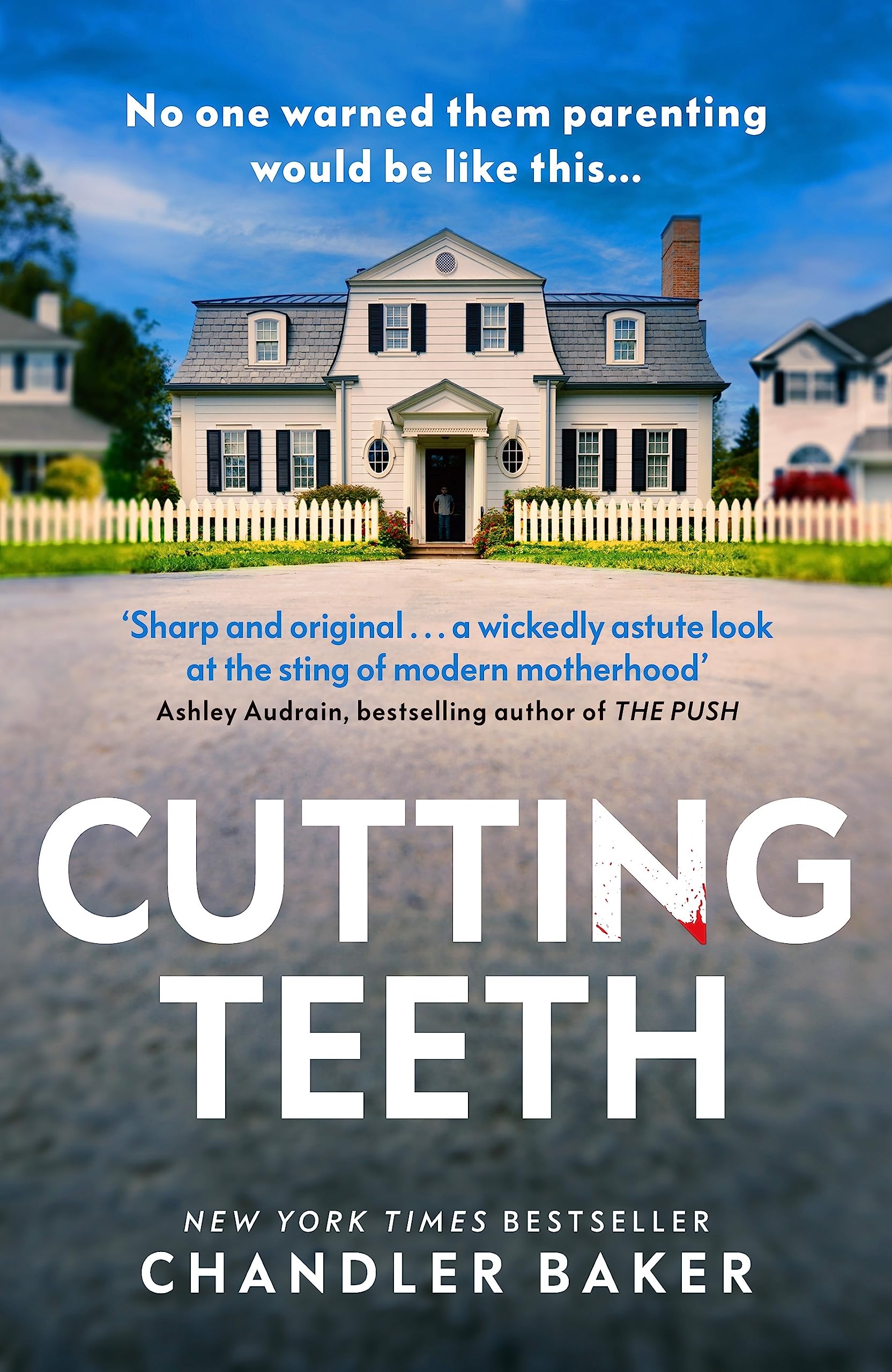 Cutting Teeth: A gripping new thriller from the New York Times bestselling author Contemporary literature