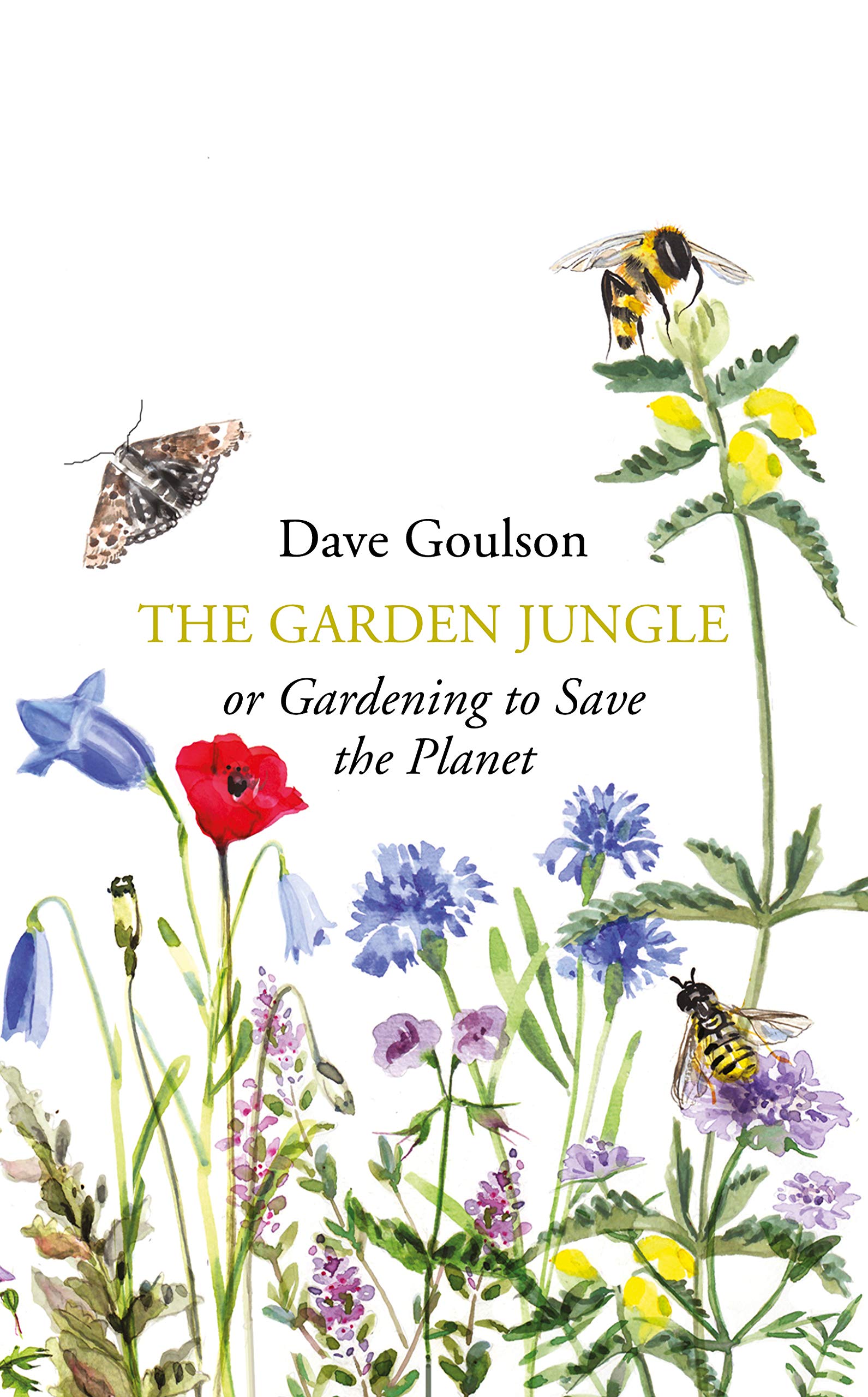 The Garden Jungle Mathematics
