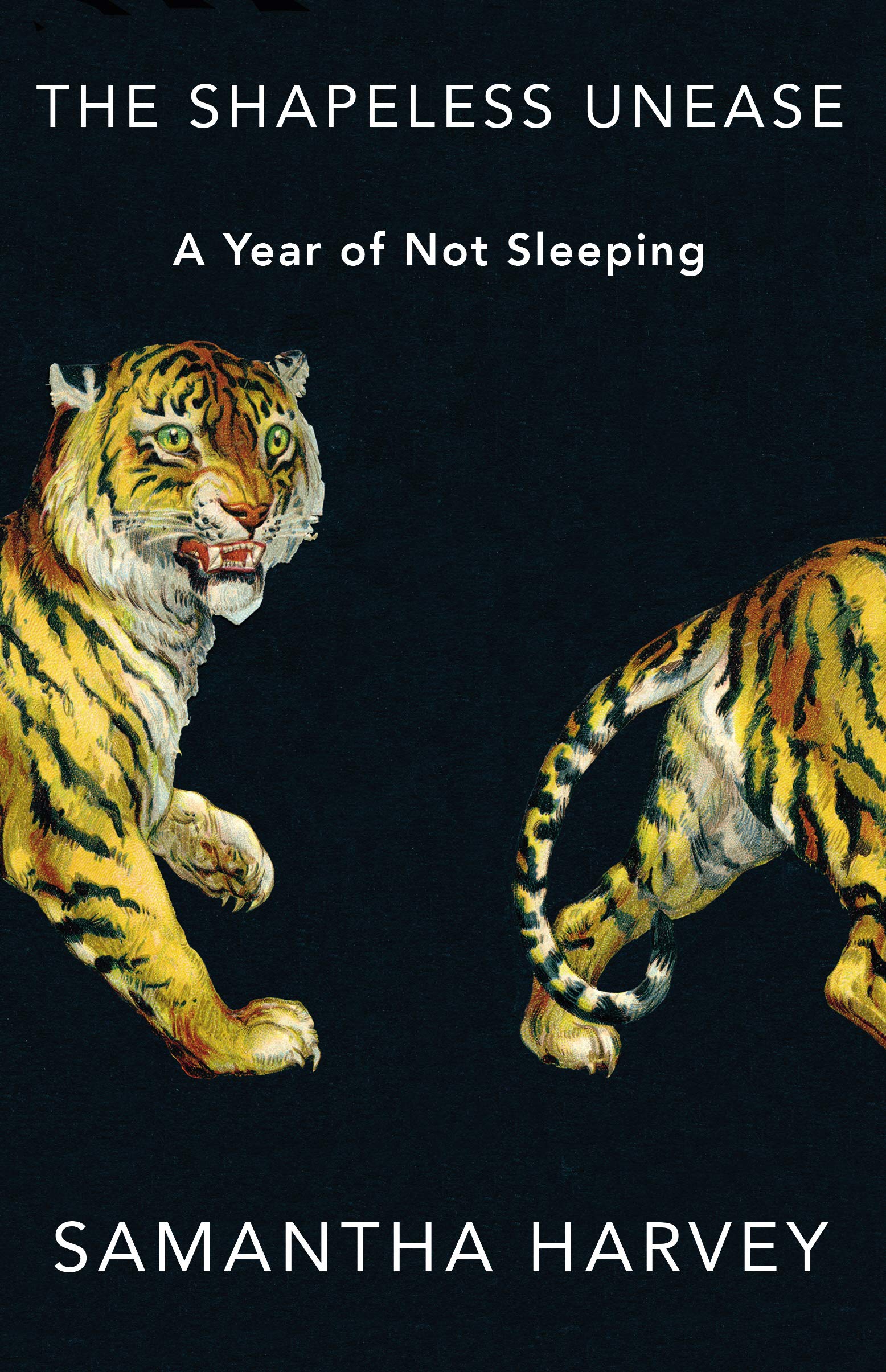 The Shapeless Unease: A Year of Not Sleeping book
