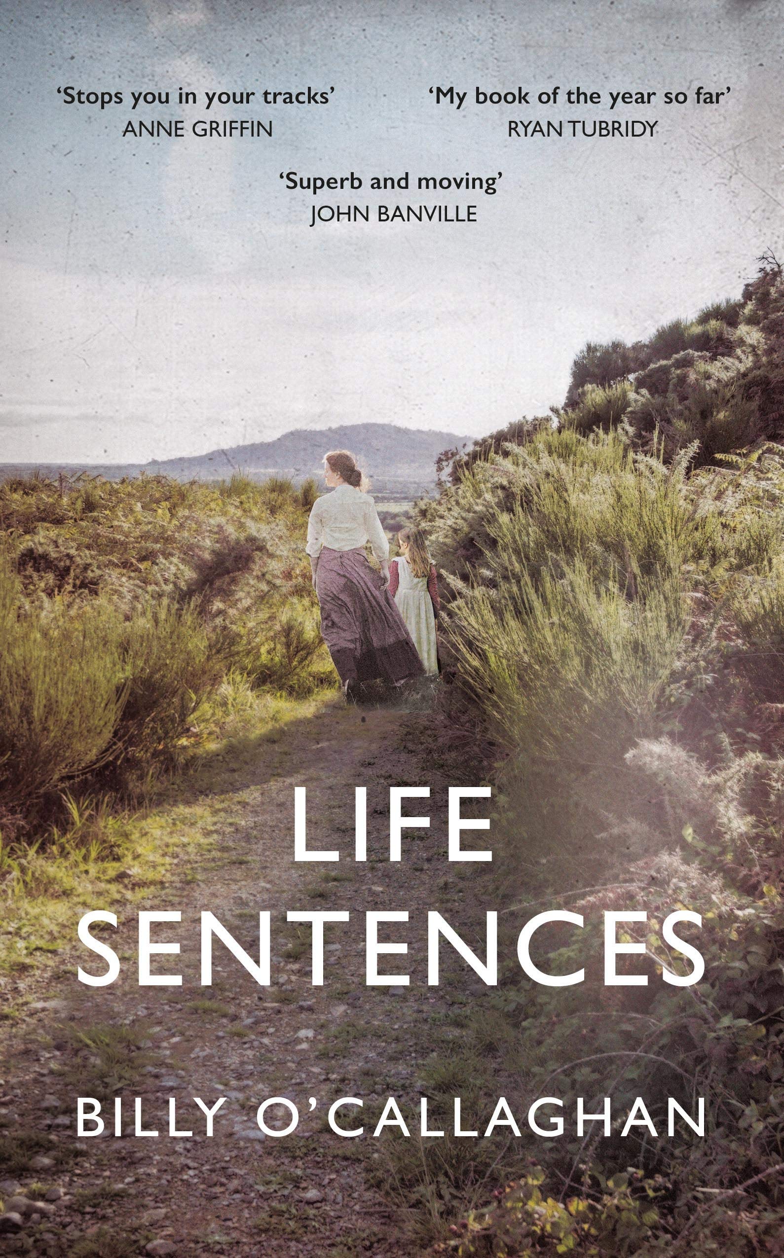 Life Sentences: the unforgettable Irish bestseller Contemporary literature