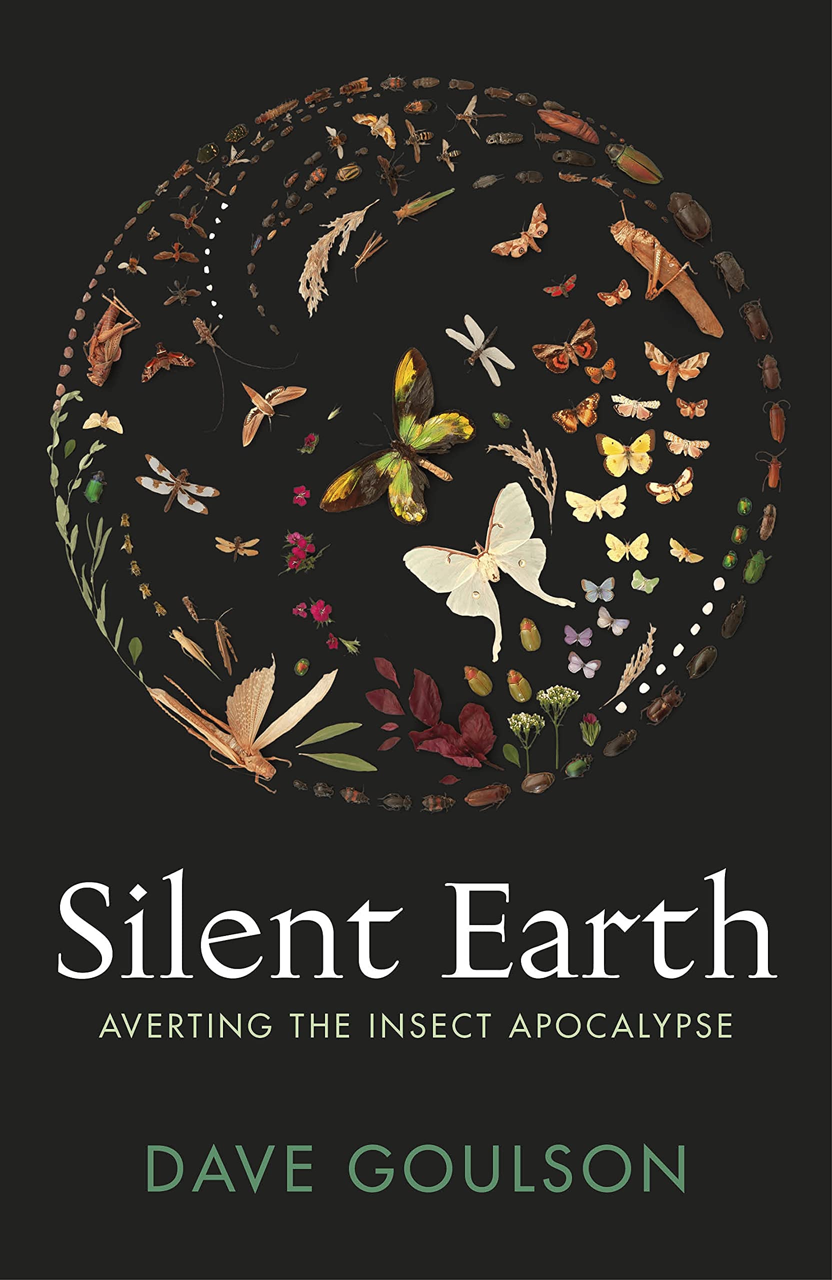 Silent Earth: Averting the Insect Apocalypse Mathematics