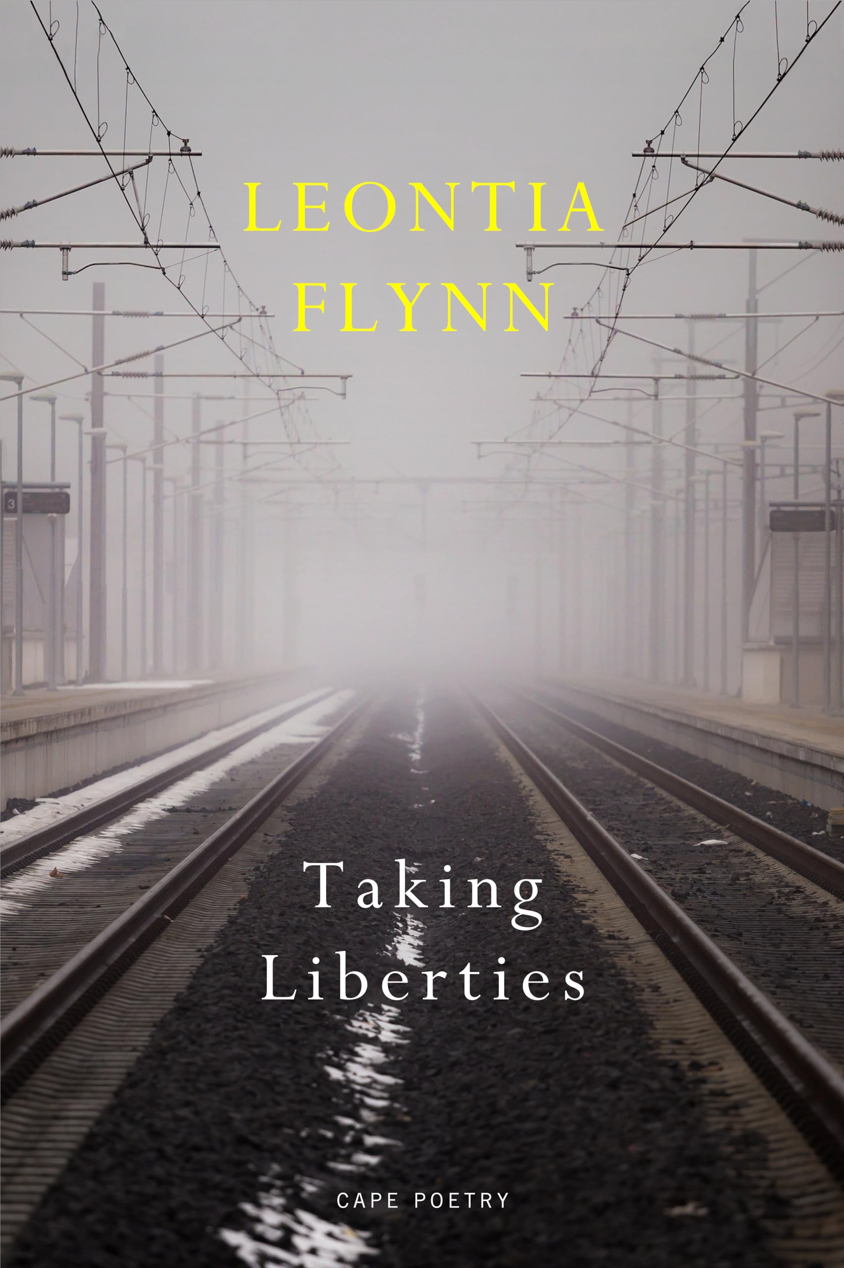 Taking Liberties: ‘Everyone should be reading her’ Observer (Cape Poetry) Social Sciences