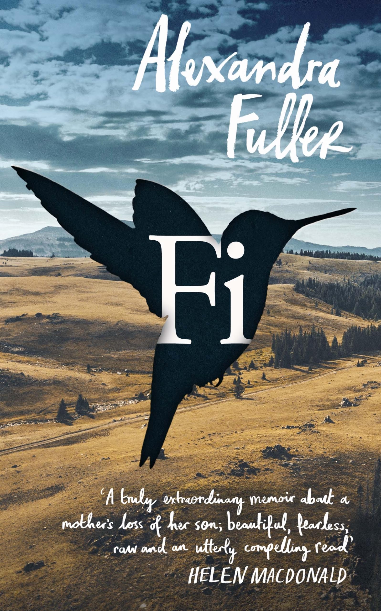 Fi: A Memoir of My Son book