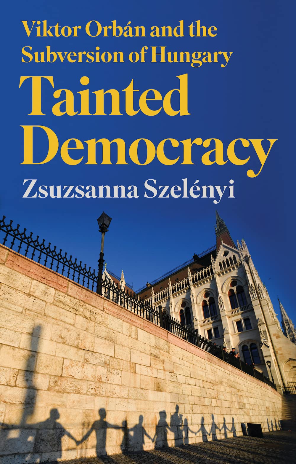 Product Image: Tainted Democracy