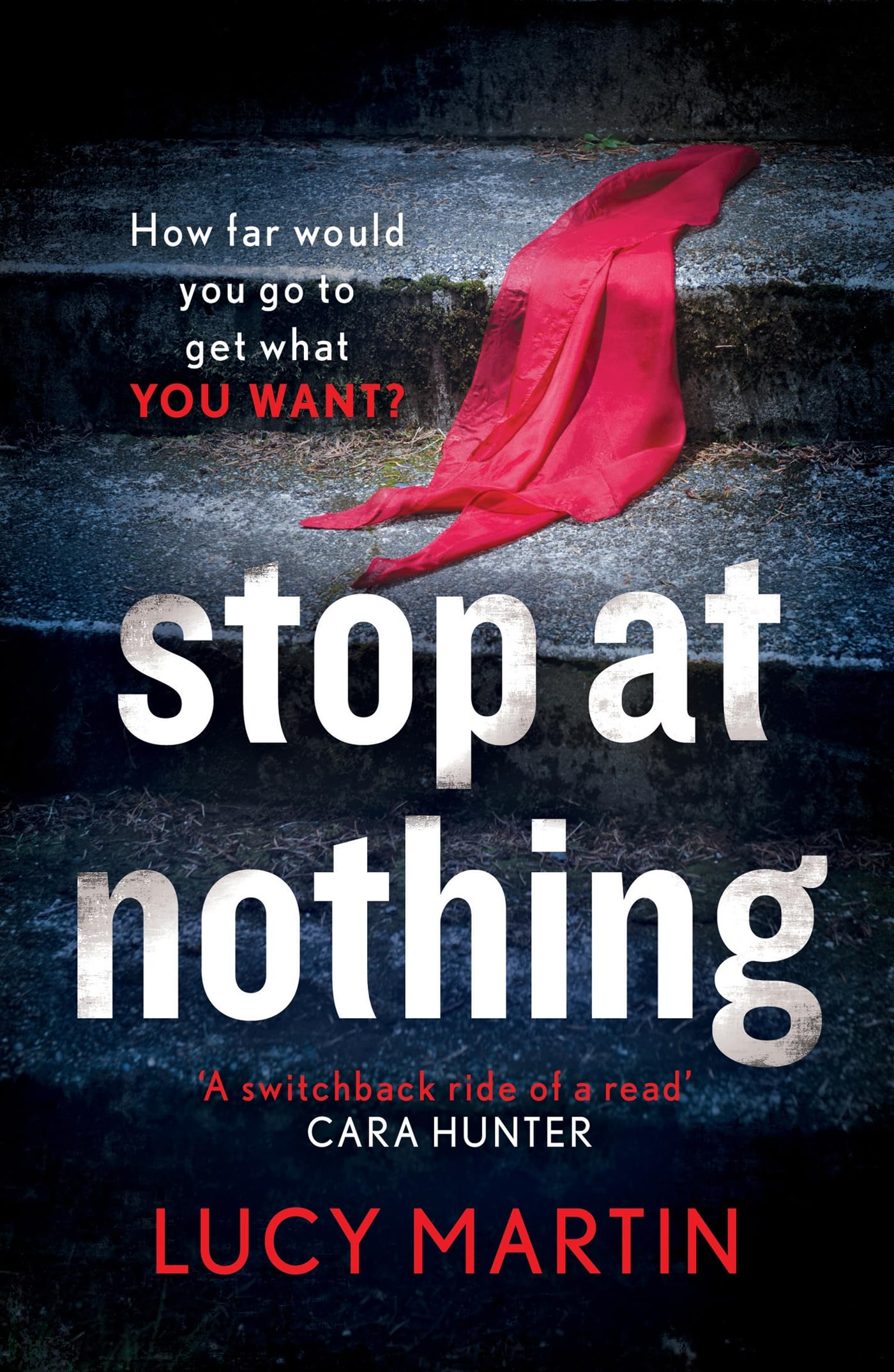 Stop at Nothing: 'A switchback ride of a read' Cara Hunter (DS Ronnie Delmar) Contemporary literature