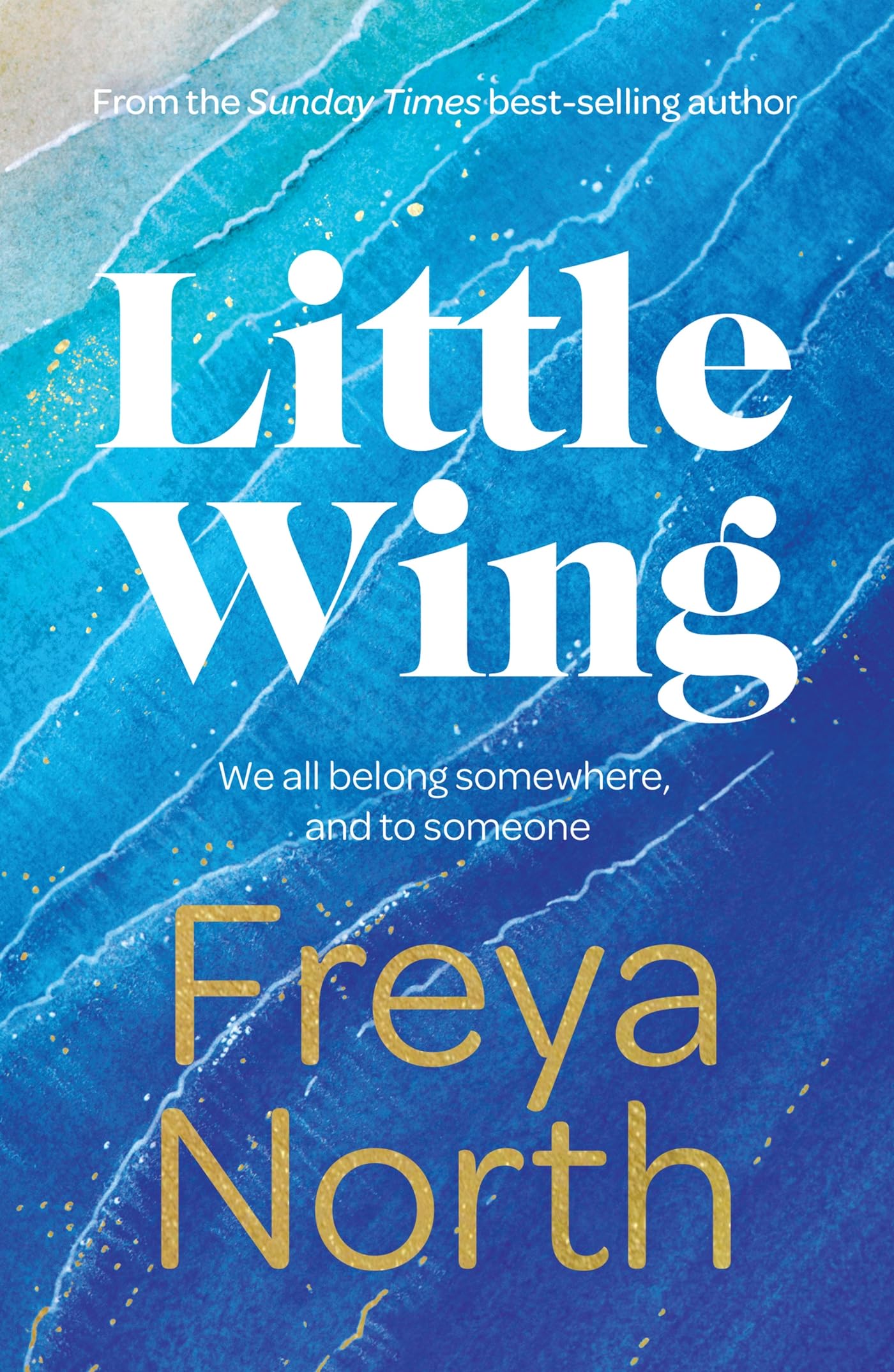 Little Wing: A beautifully written, emotional and heartwarming story Contemporary literature