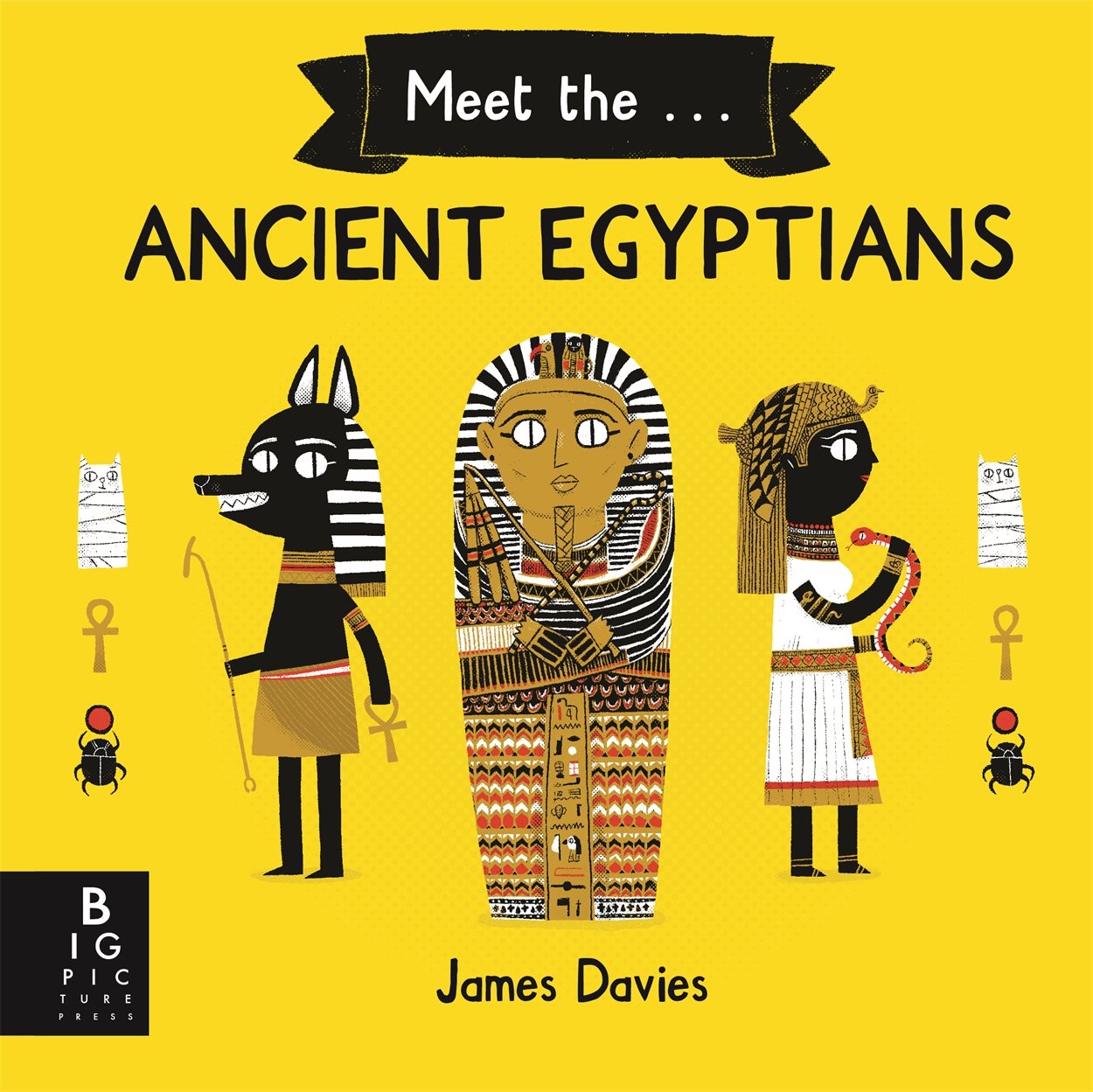 Meet the Ancient Egyptians: James Davies Non-fiction