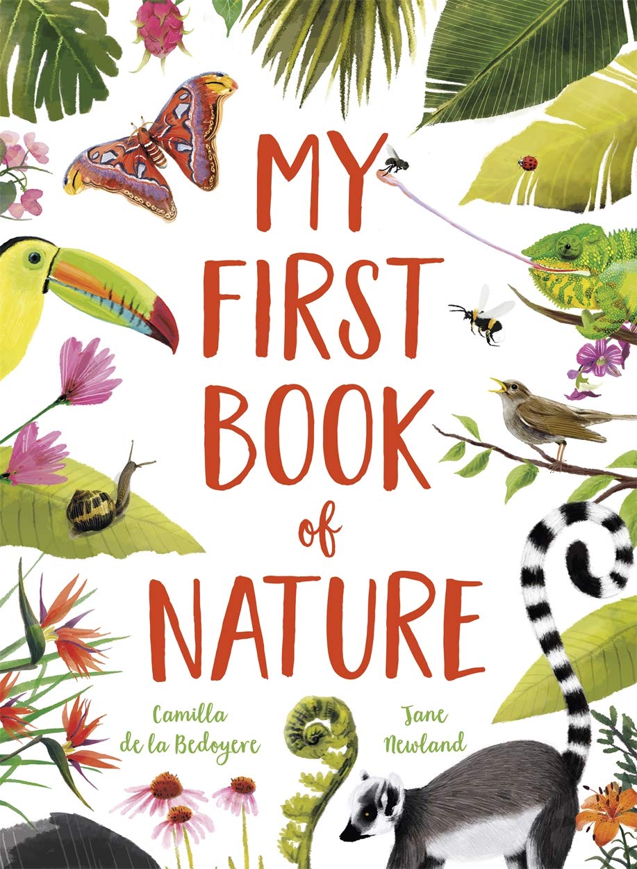 My First Book of Nature: With 4 sections and wipe-clean spotting cards Mathematics