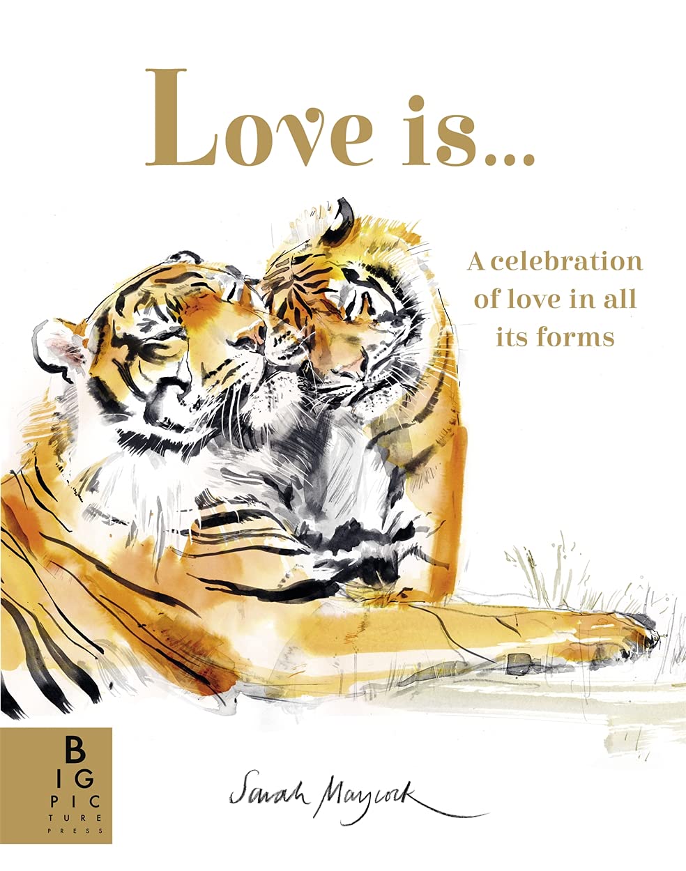 Love Is...: A Celebration of Love in All Its Forms Lifestyle