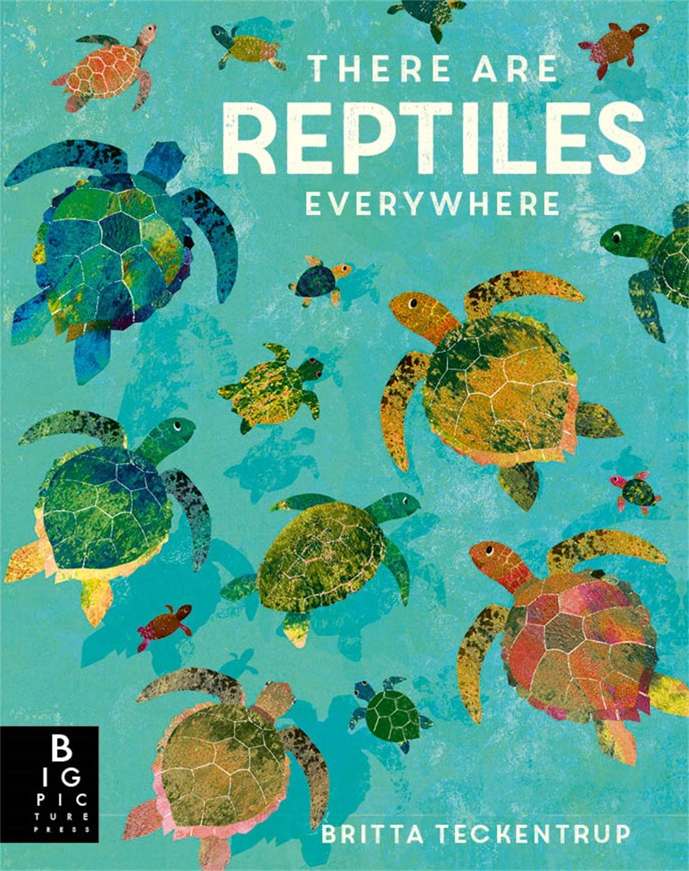 There are Reptiles Everywhere (Britta Teckentrup Everywhere) Natural Sciences